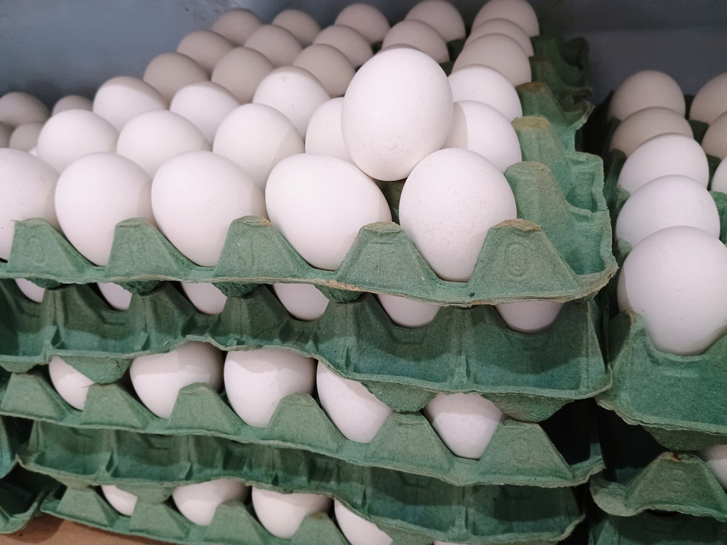 Preço médio da cesta de alimentos cai em agosto