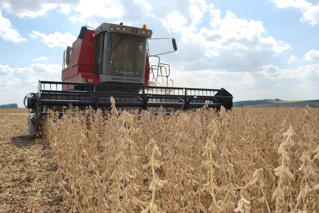 Safra gaúcha terá queda apesar de recorde nacional