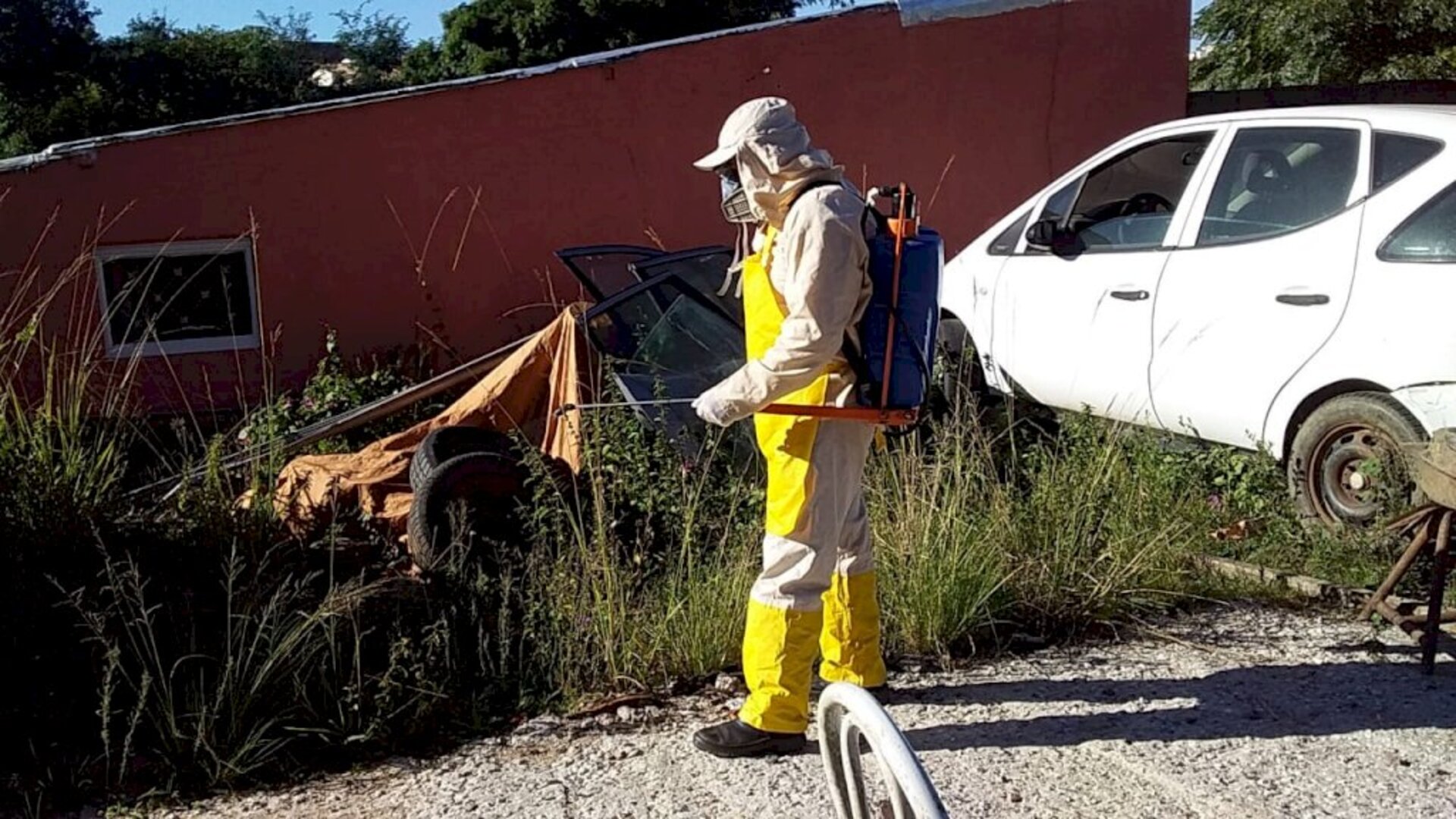 Agentes de endemias atuam no combate ao mosquito vetor da doença