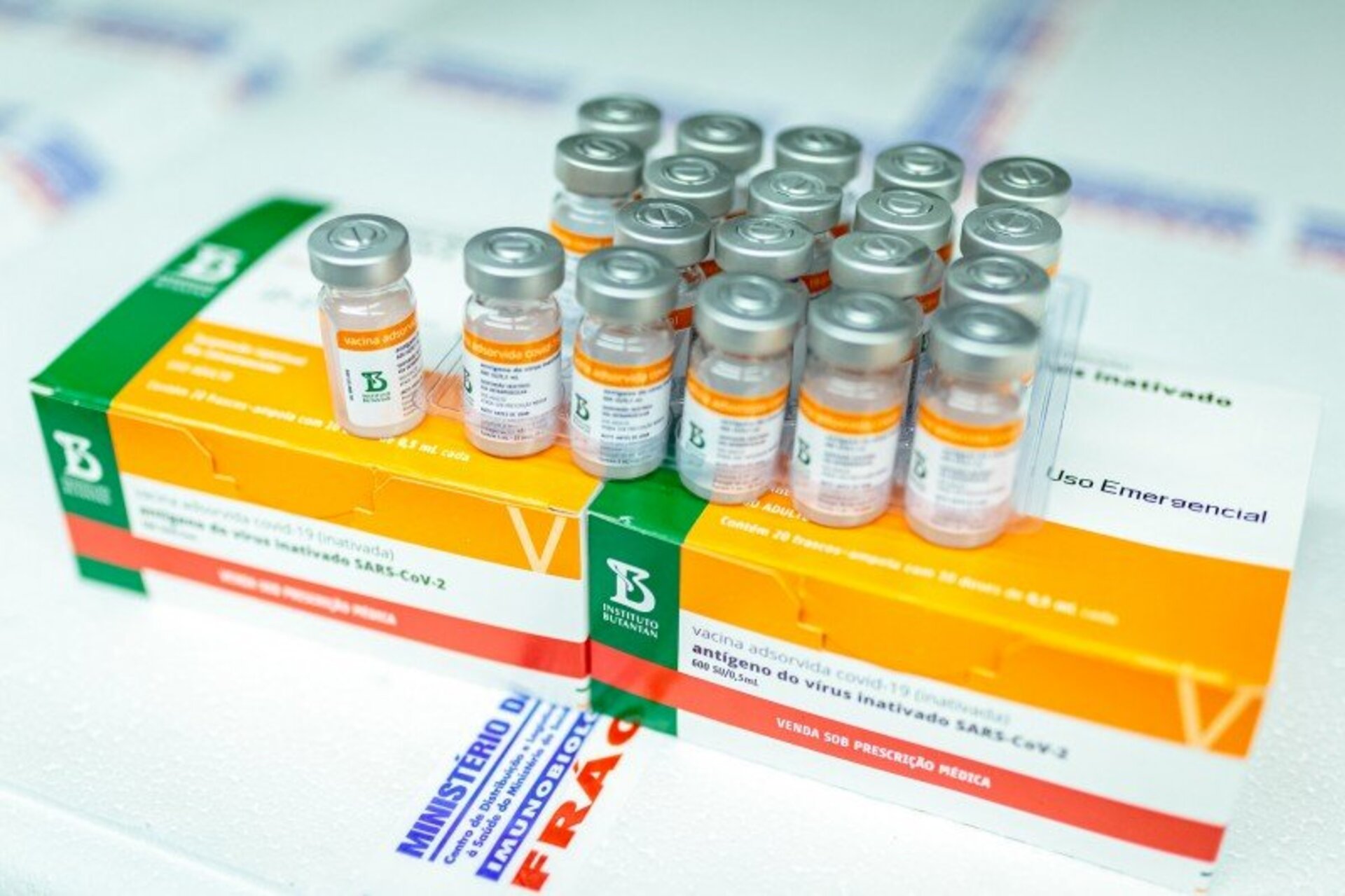 Serão remetidas 610 doses para Bagé