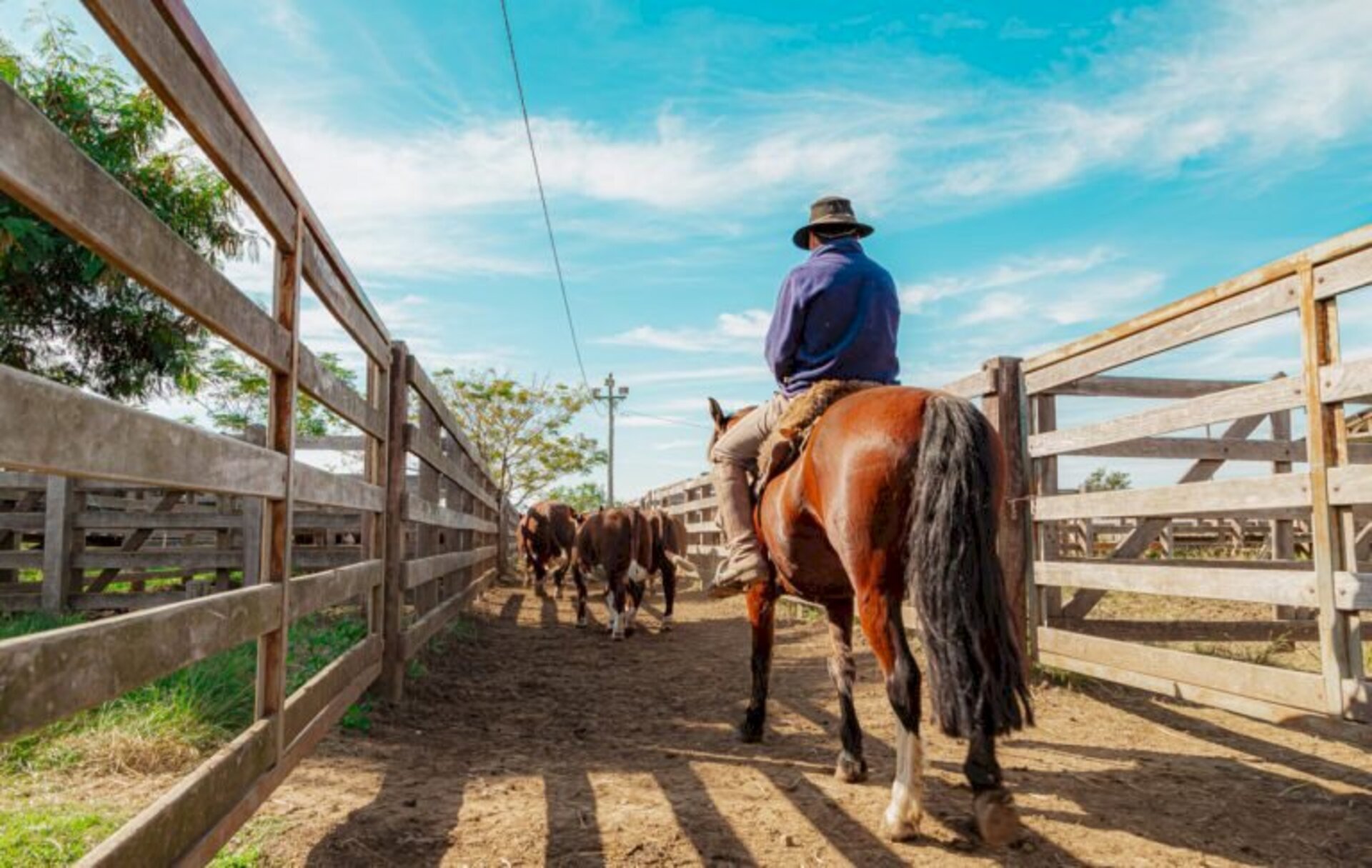 Feira acontece no Parque de Exposição Agrícola e Pastoril