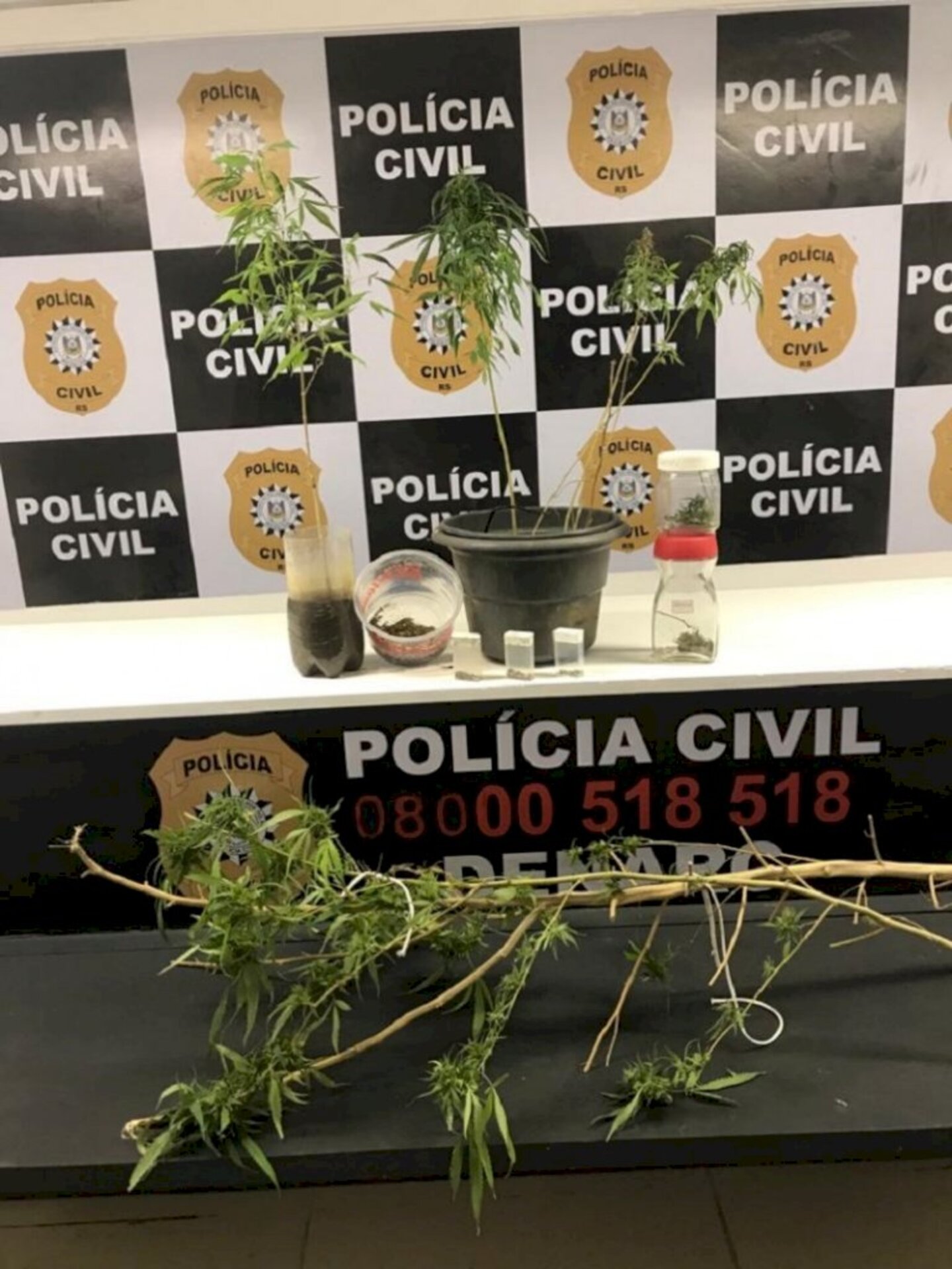 Homem alegou que droga era para uso medicinal