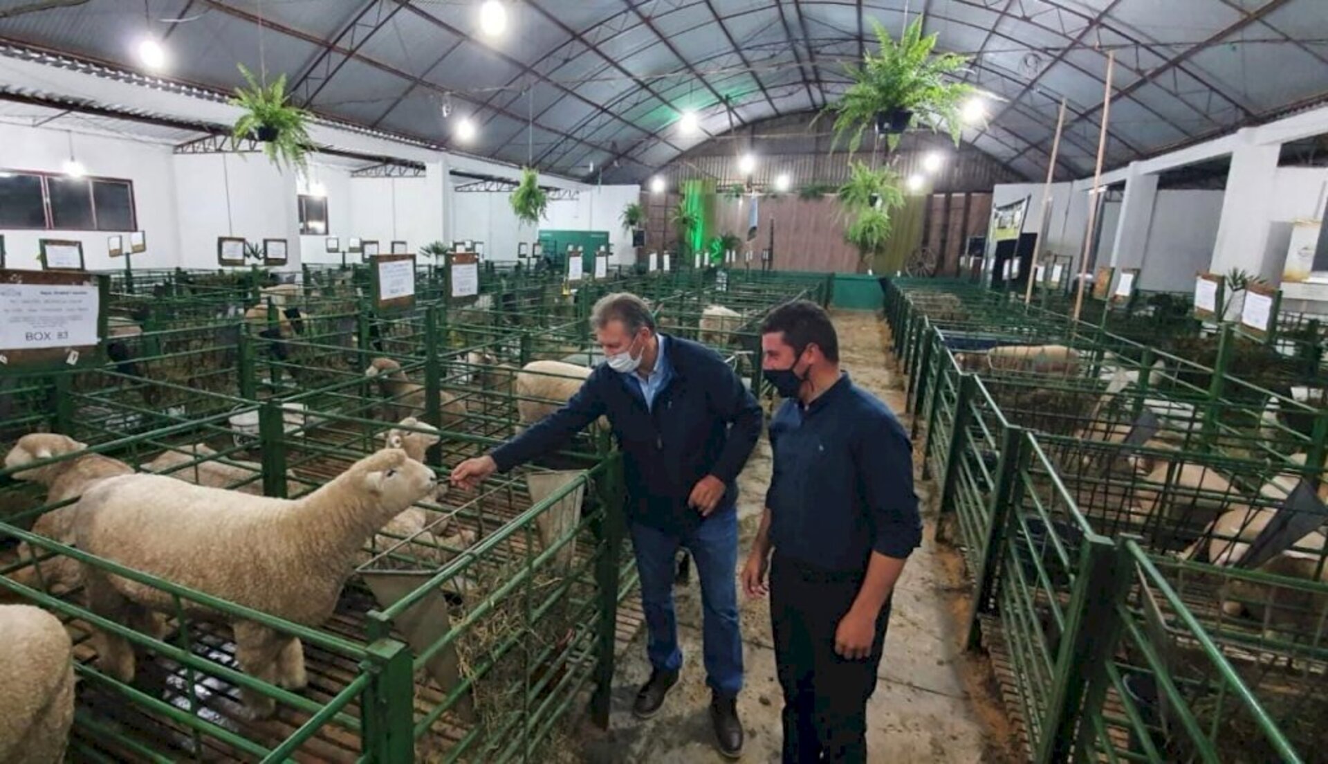 Parlamentar conferiu os exemplares participantes da mostra