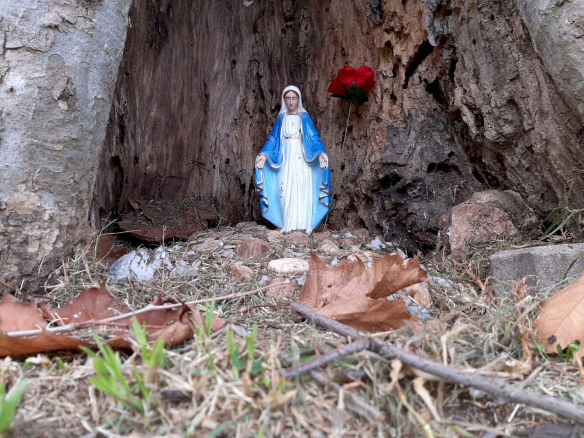 Responsável é devota de Nossa Senhora das Graças