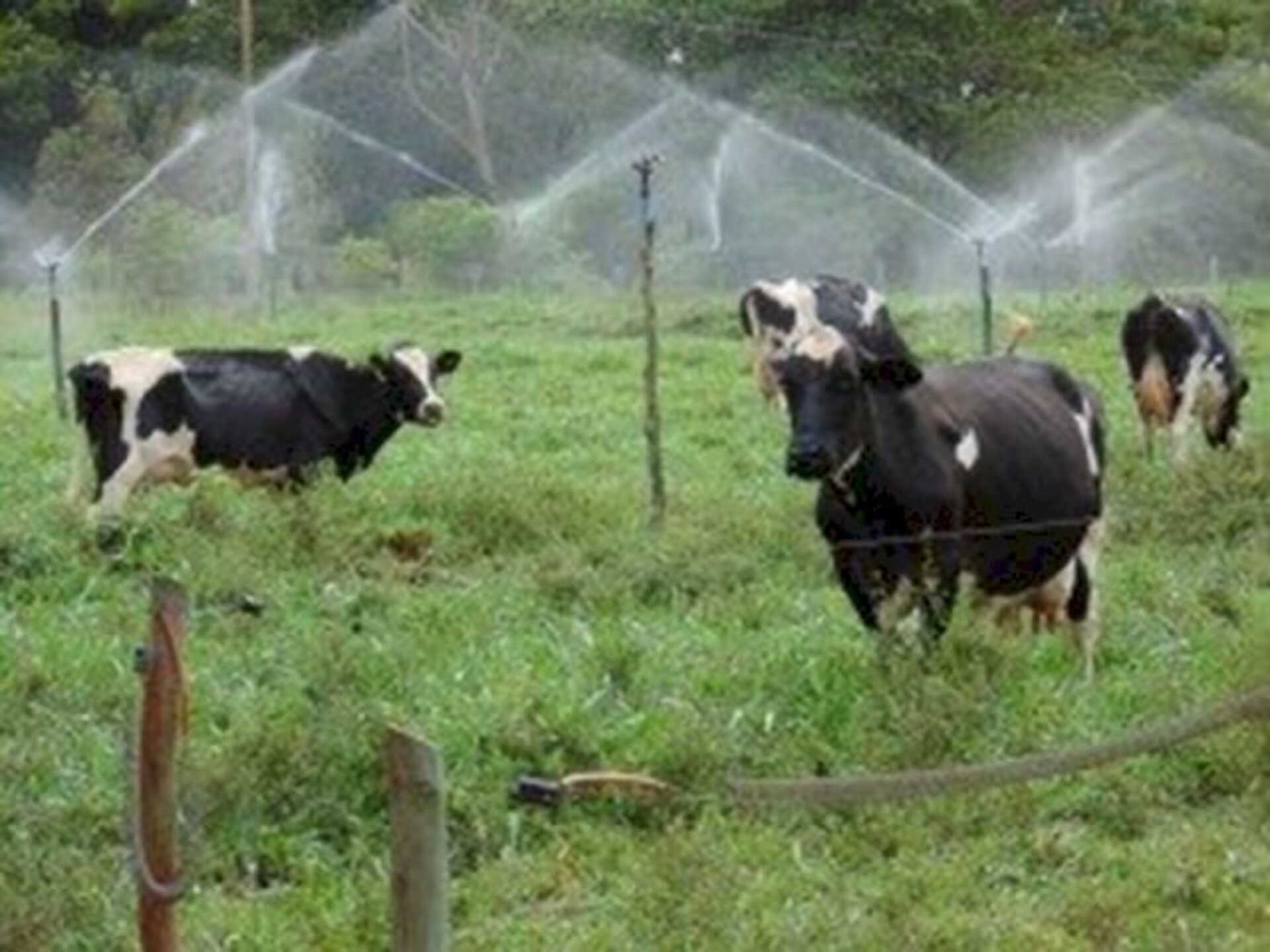Sistemas de irrigação e análise de viabilidade e manejo foram abordados