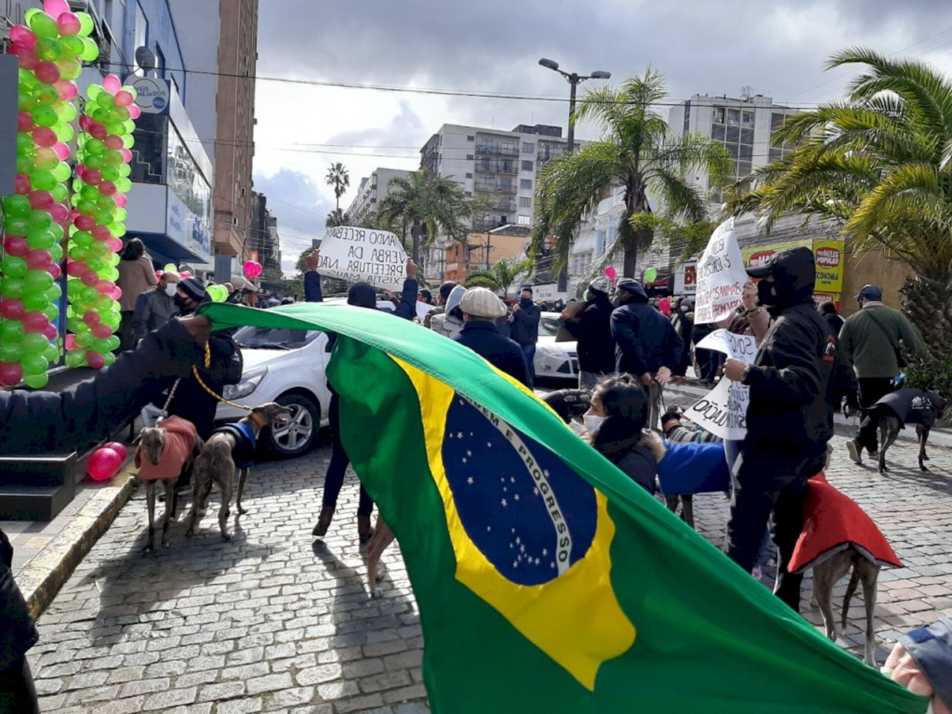 Defensores dos galgos levaram os cães todos a caráter