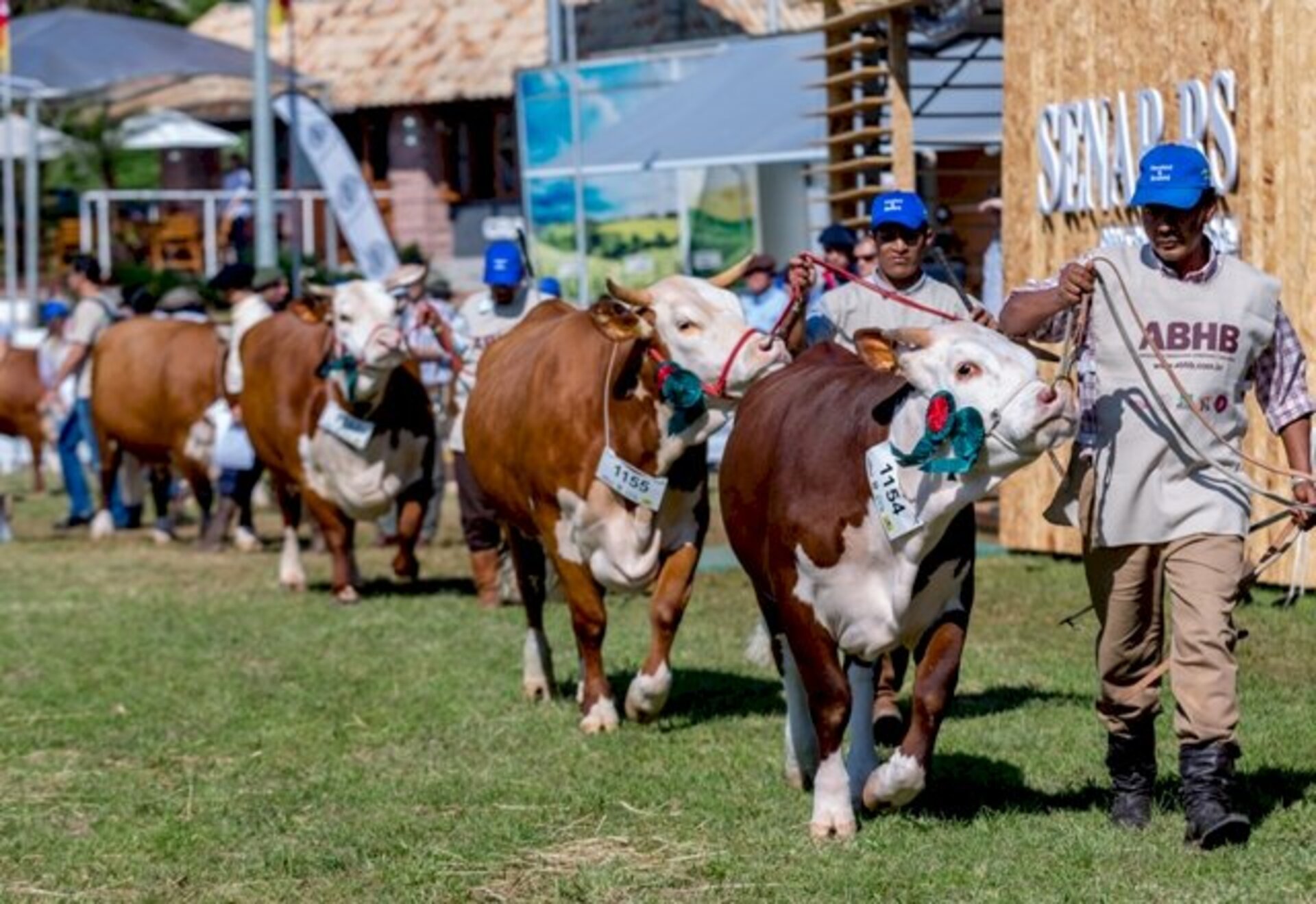 Raça é uma das maiores representações na feira agropecuária