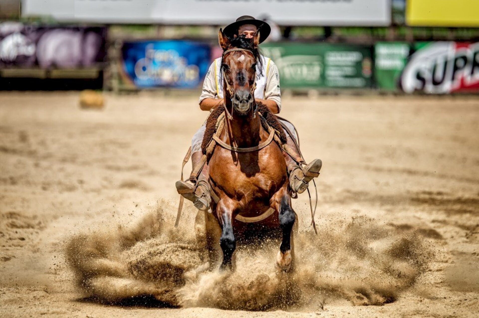 Cavalo crioulo mostra toda sua performance no Parque Assis Brasil