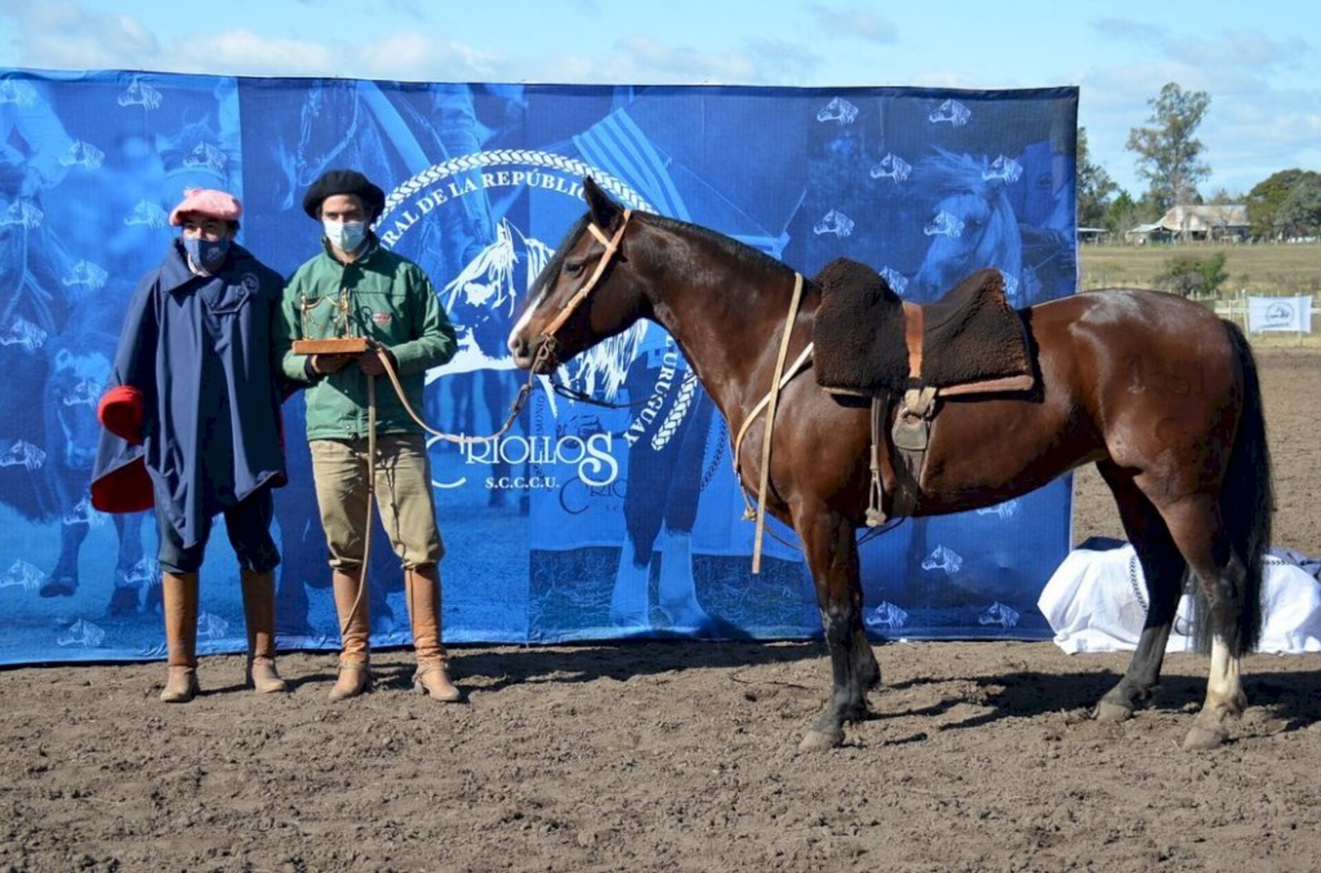 Égua foi a grande campeã na categoria fêmeas