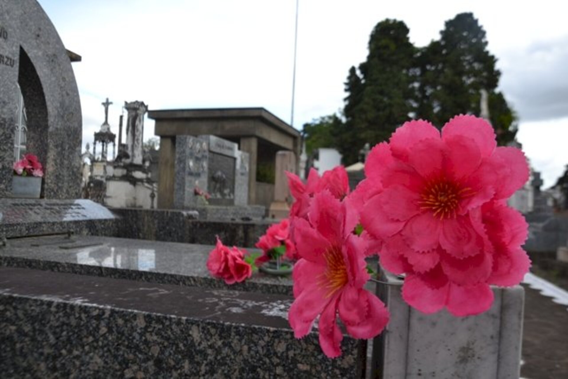 Há quase um ano e meio mudaram os ritos funerais