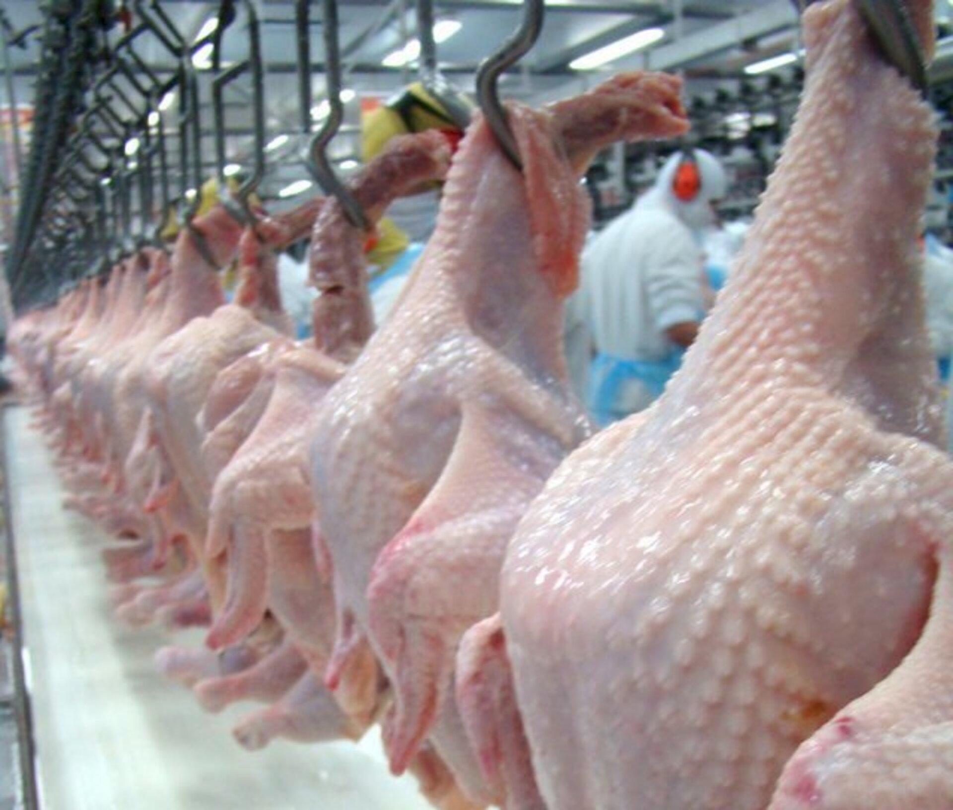 Algumas empresas fazem estoques para manter preços acessíveis