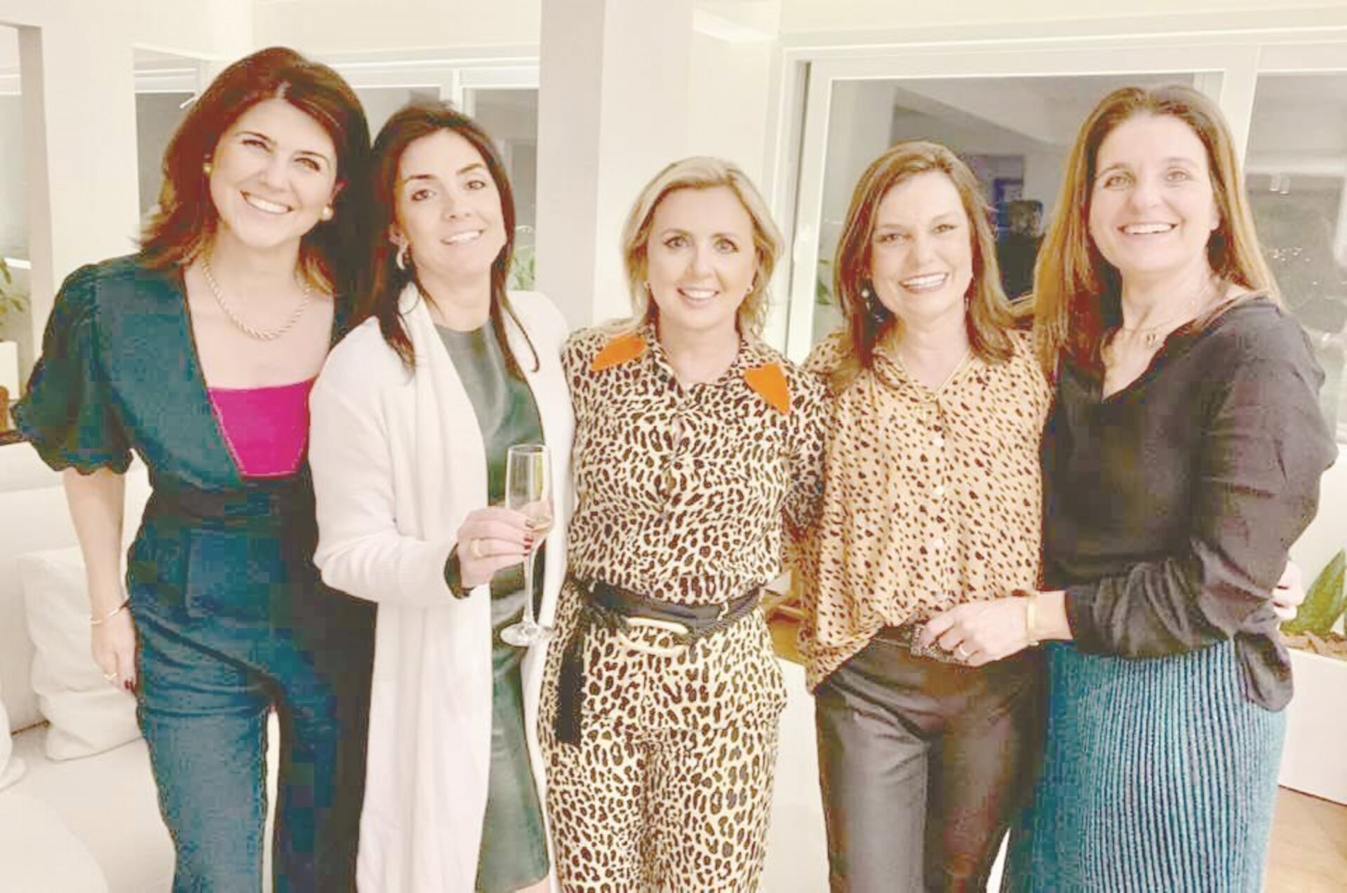 Luciana Martins Teixeira, Potira Costa Pereira, Inaiara Rodrigues Paiva, Andrea Paiva Lima e Anelise Moraes Nicoloso