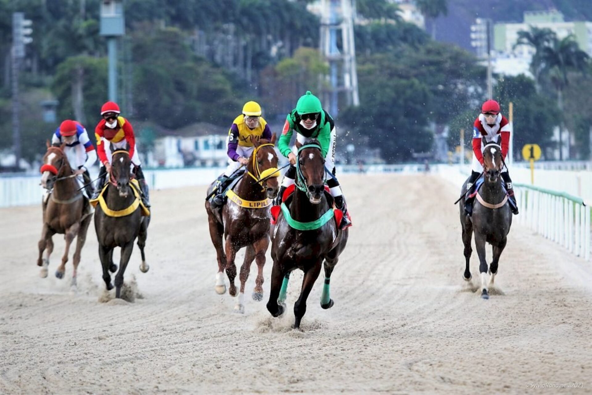 Corridas atraem os apaixonados pelo turfe no hipódromo da Gávea
