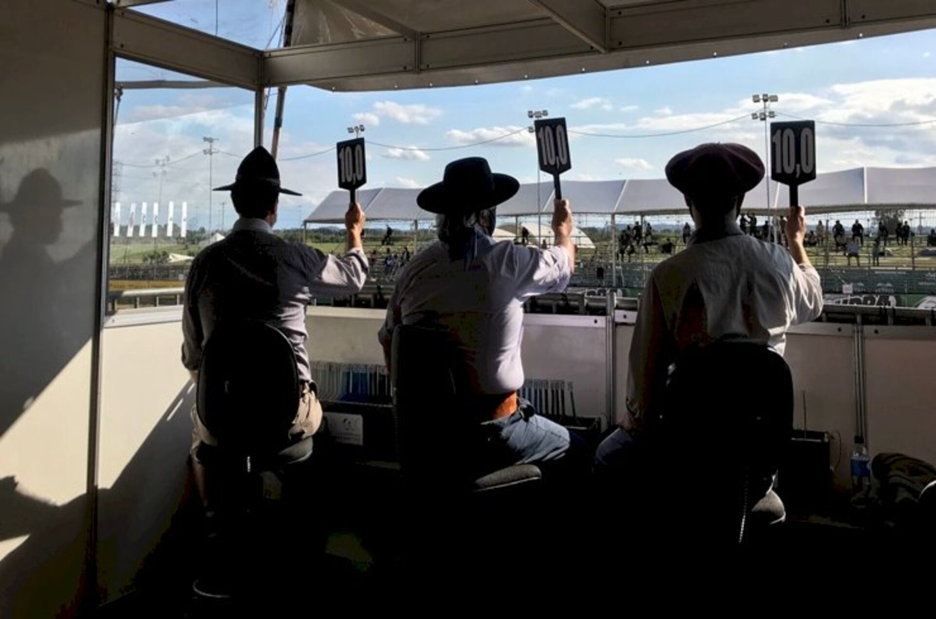 Julgadores serão responsáveis por avaliar categorias fêmeas e machos