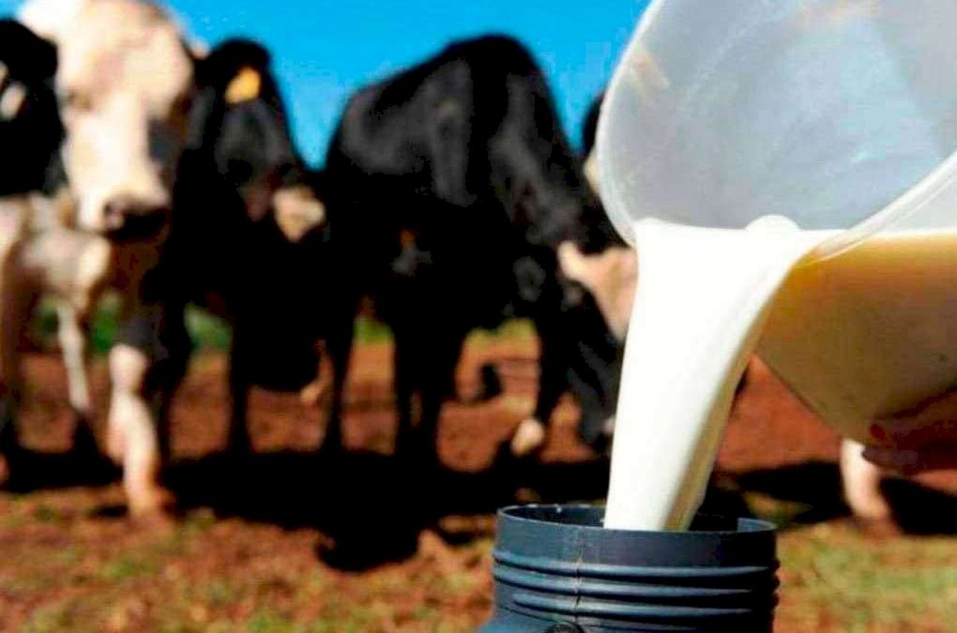 Um dos objetivos foi tratar sobre os elevados custos de produção