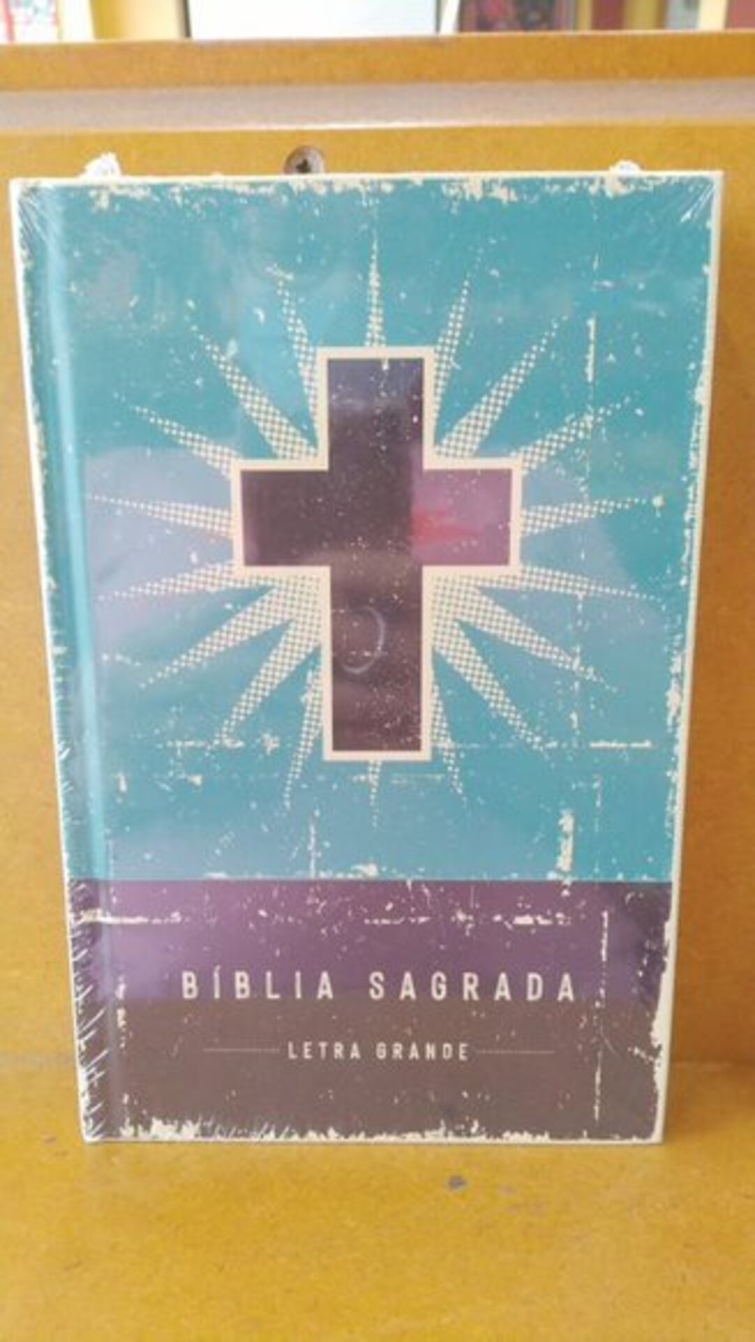 Versão com letra grande para facilitar a leitura