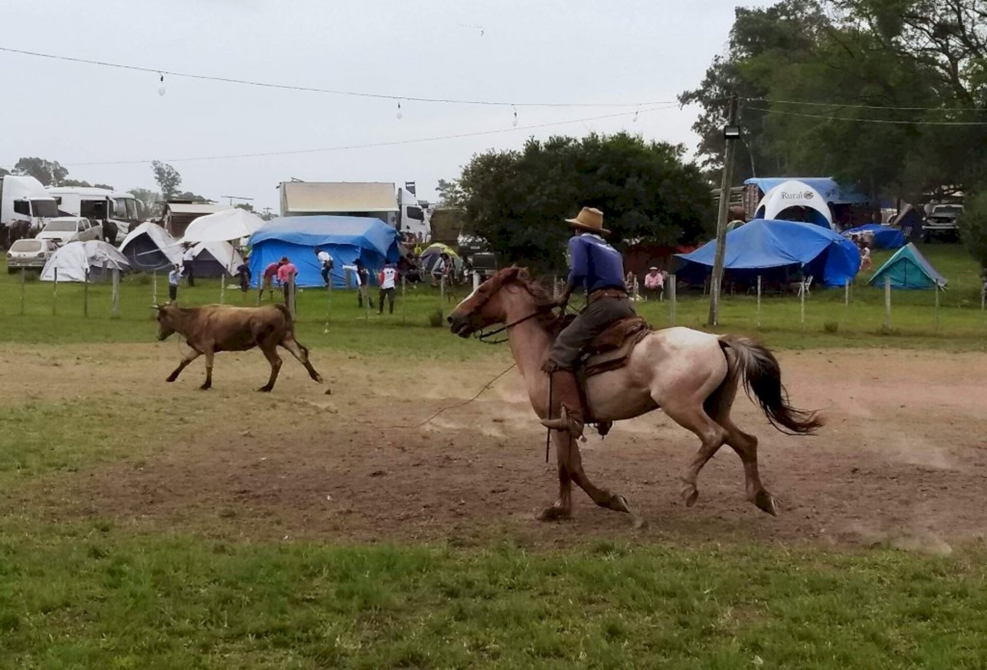 Entre as atrações da semana estão as provas campeiras
