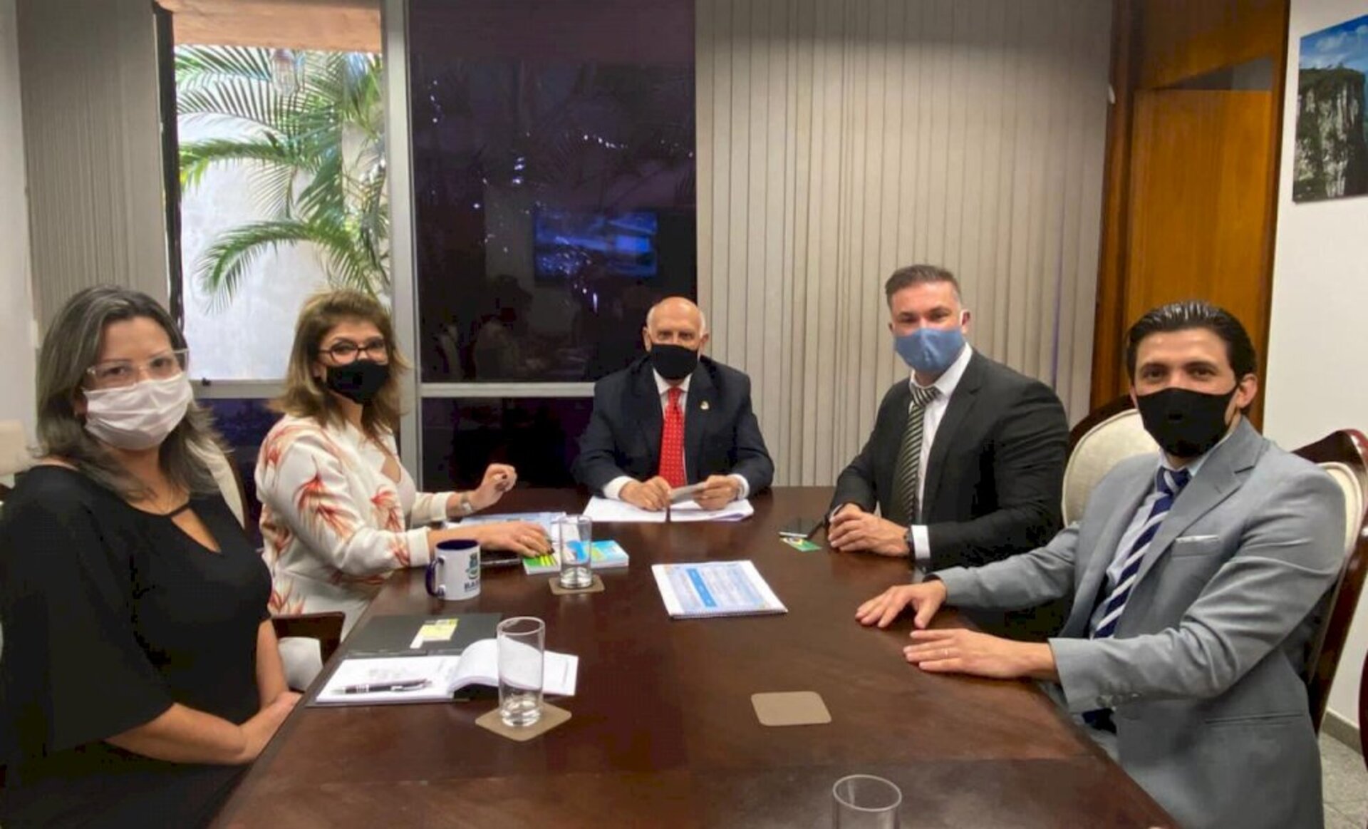 Martins recebeu os bageenses em Brasília