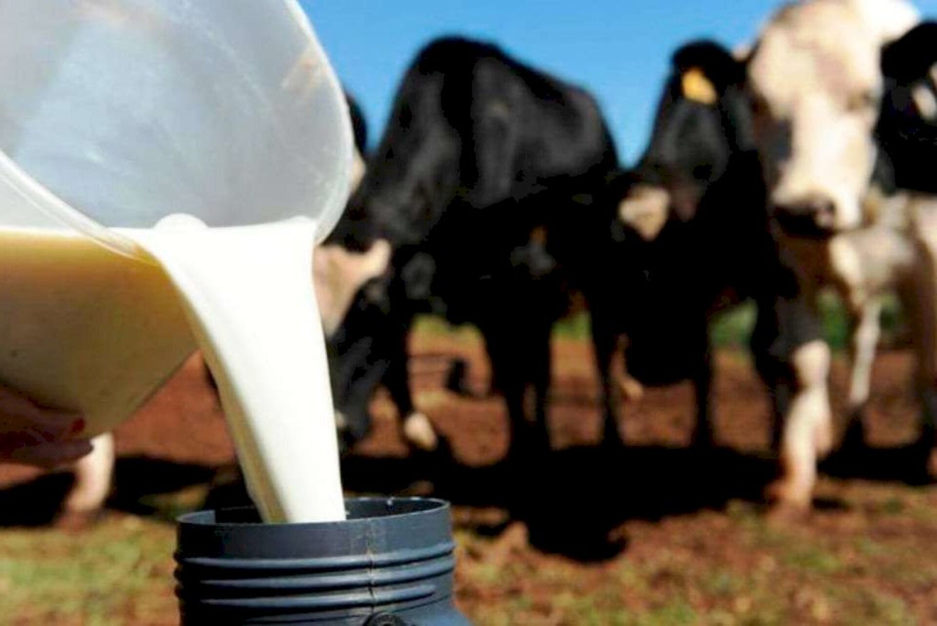 Preço recebido pelo produtor manteve a tendência de alta