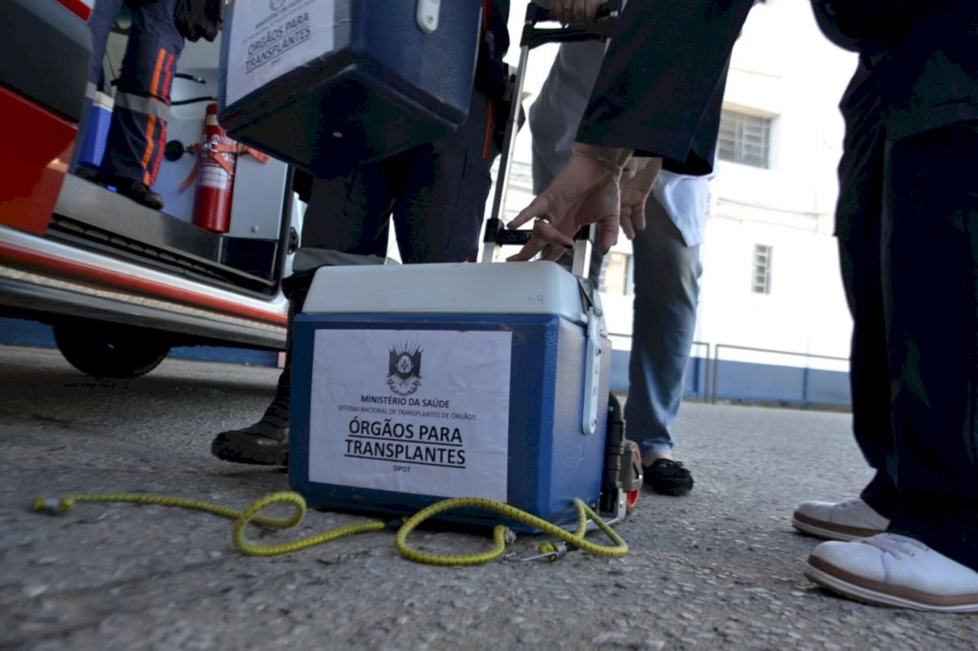 Última doação em Bagé aconteceu em 2019