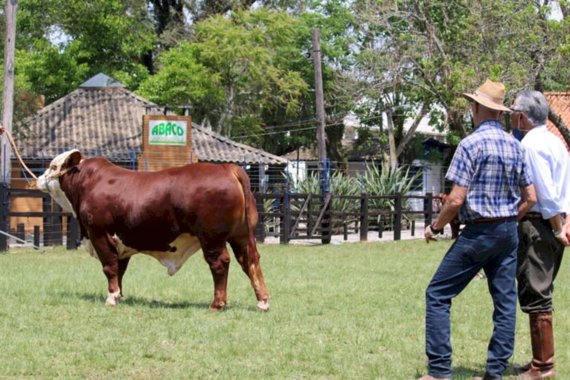 Mostra é válida pelo Ranking Nacional de Criadores das raças