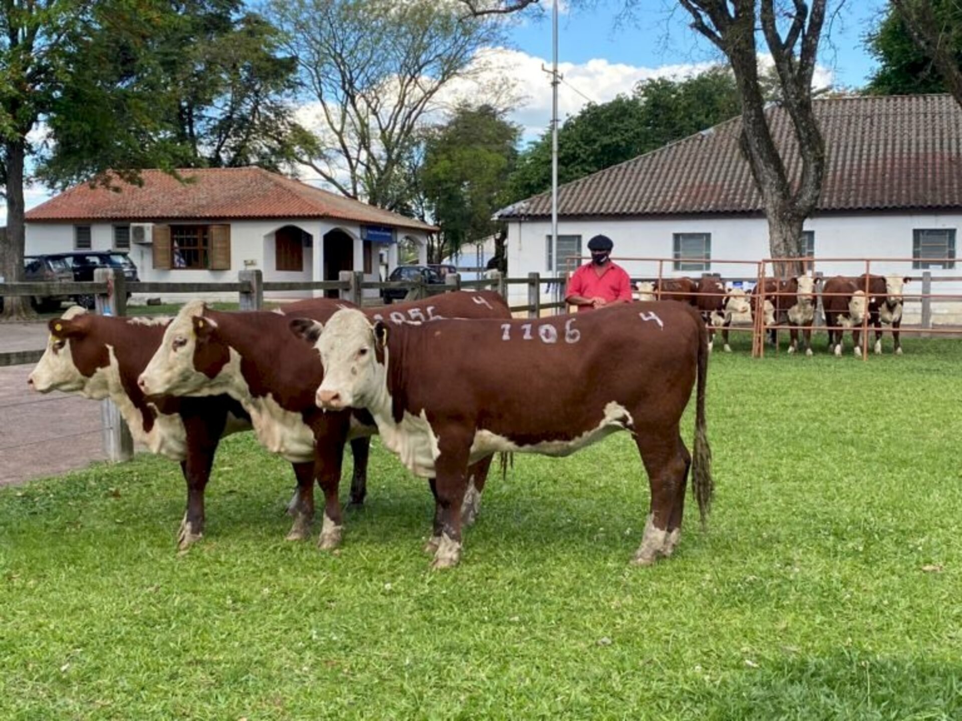 Setenta e dois animais das duas raças participaram da expofeira