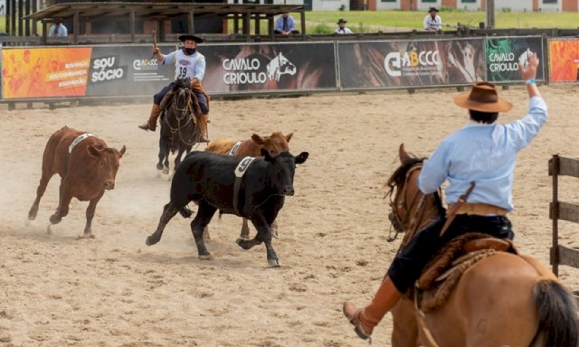 Competição acontece no Parque Assis Brasil,