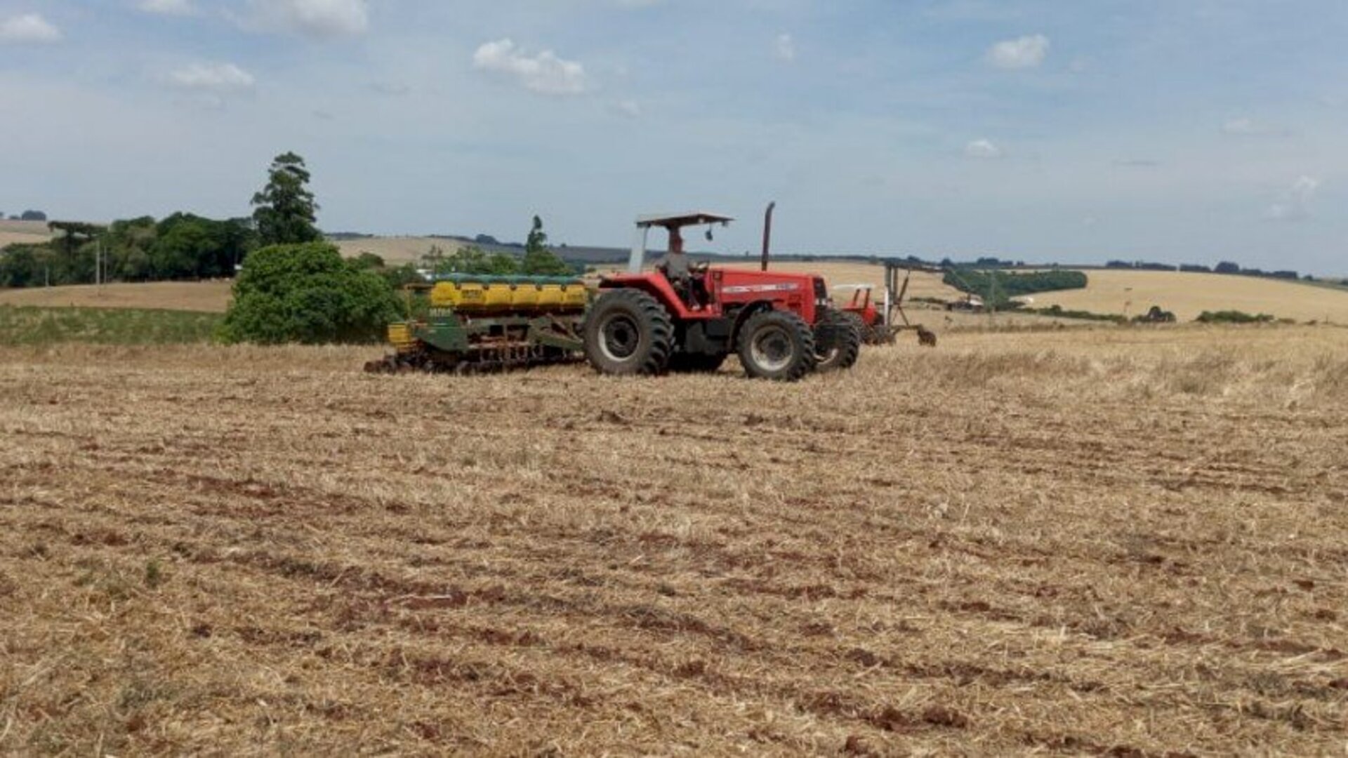 Produtores retomam o plantio da soja no Estado