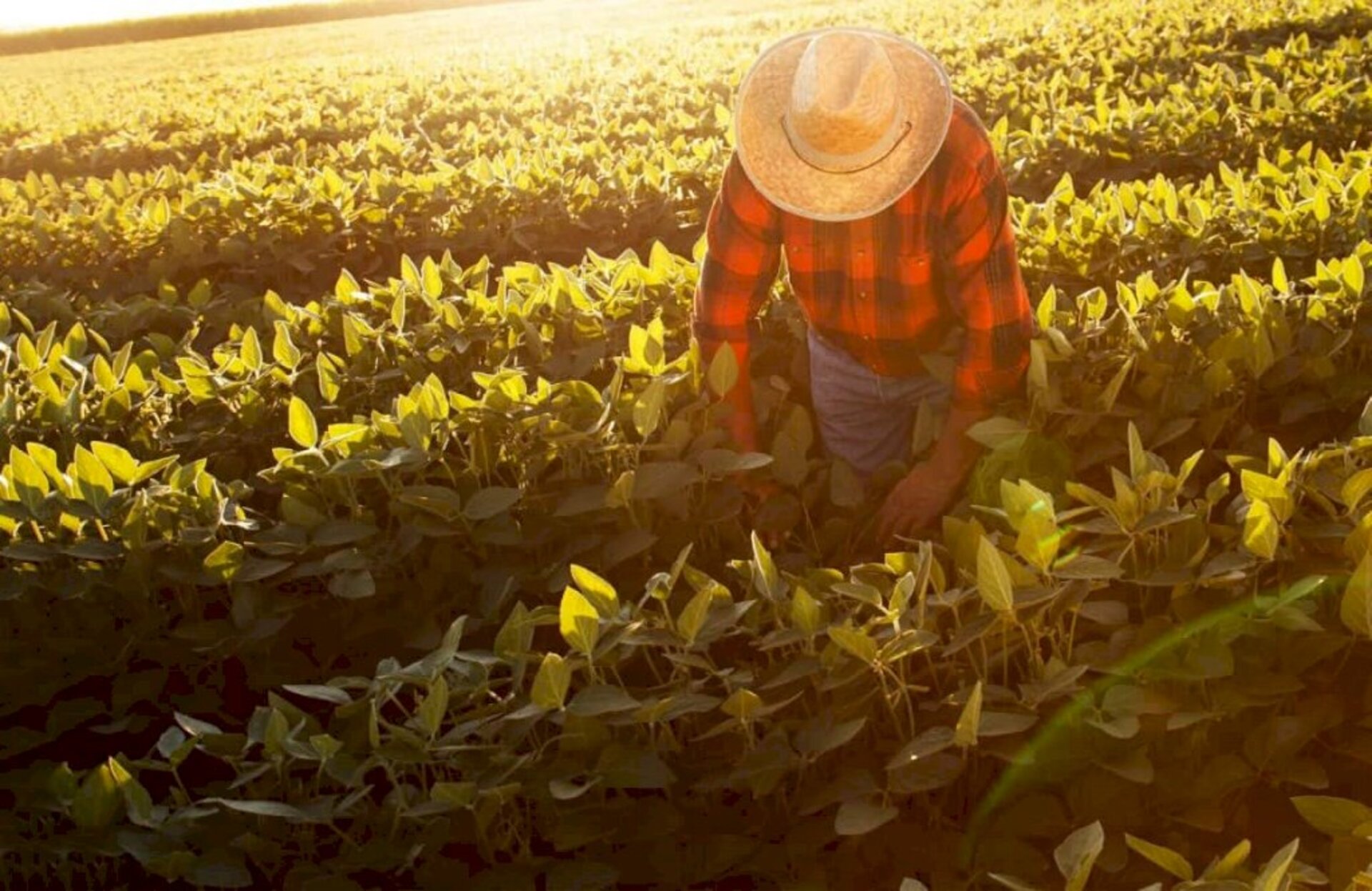 Material informativo terá foco no homem do campo