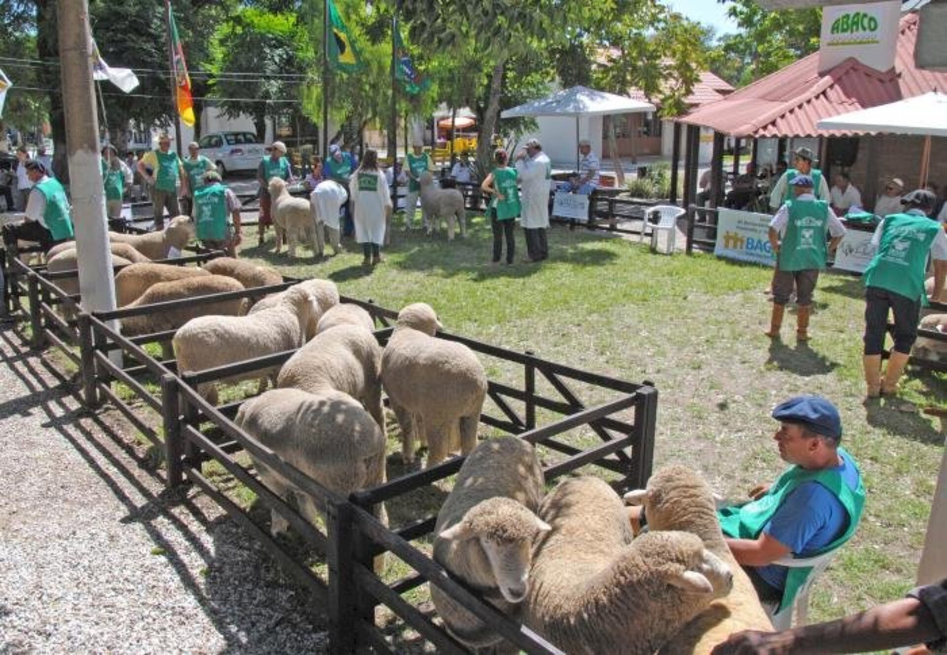 Animais de todo o Estado participam da feira