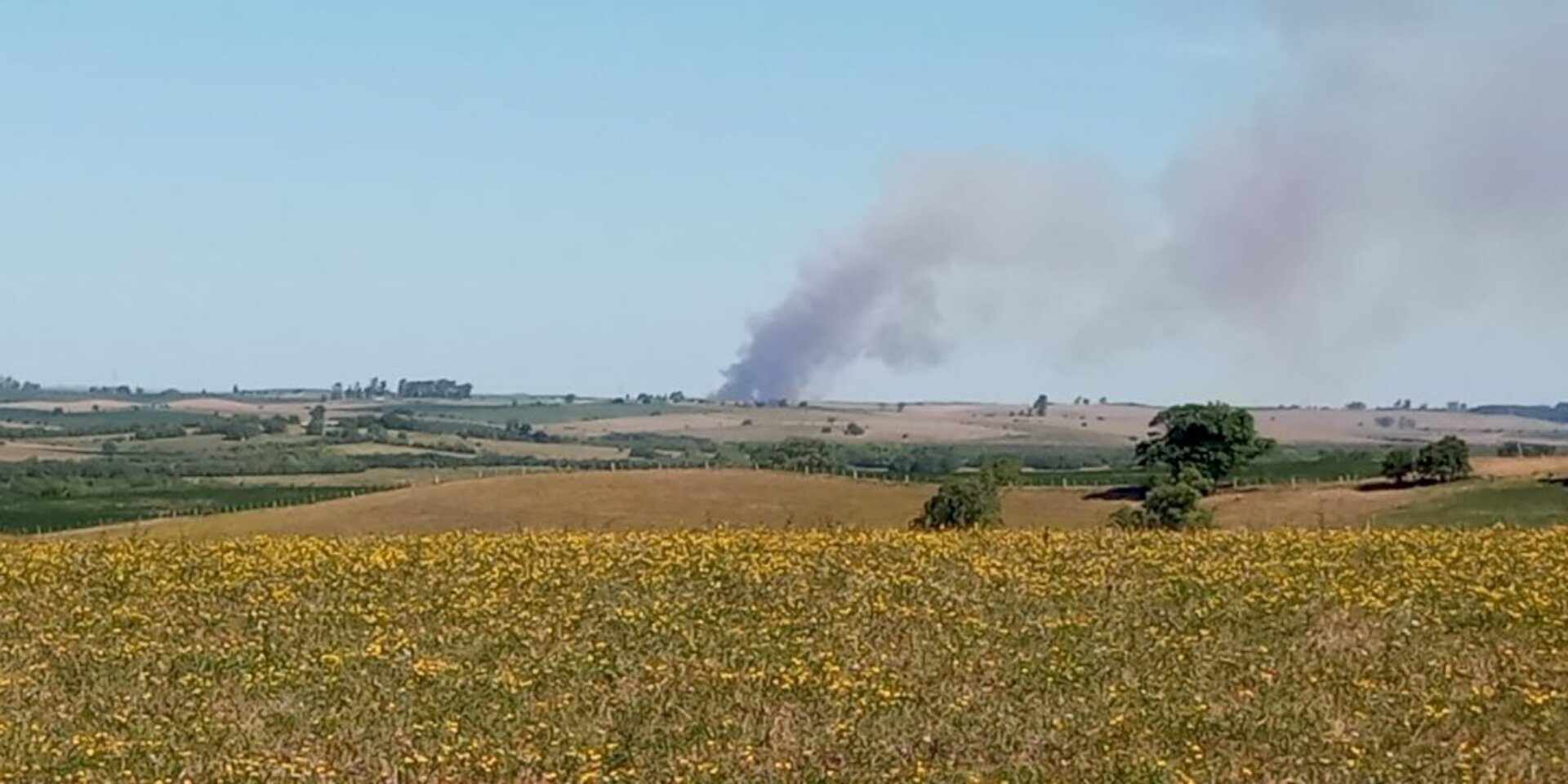 Campos sofrem com a seca e queimadas