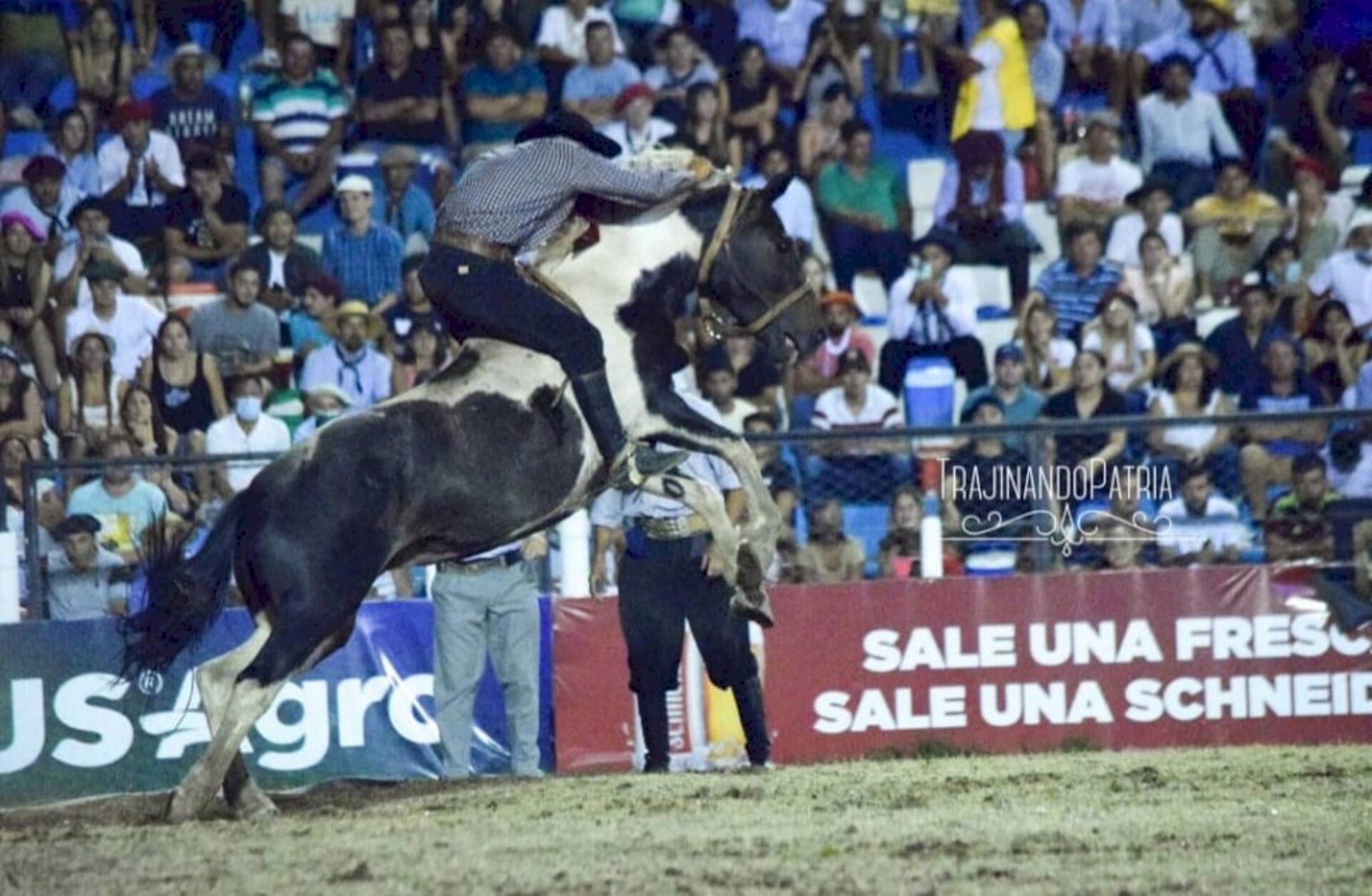 Conquista no Festival Nacional de Doma e Folclore