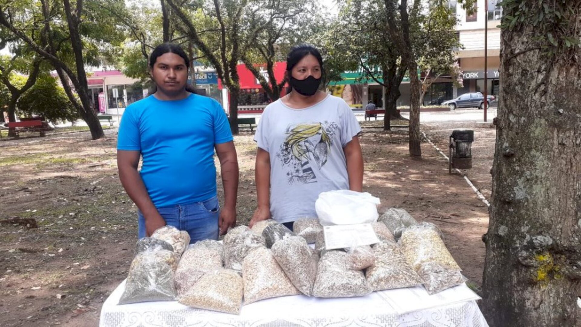São diversas ervas usadas para todos os males