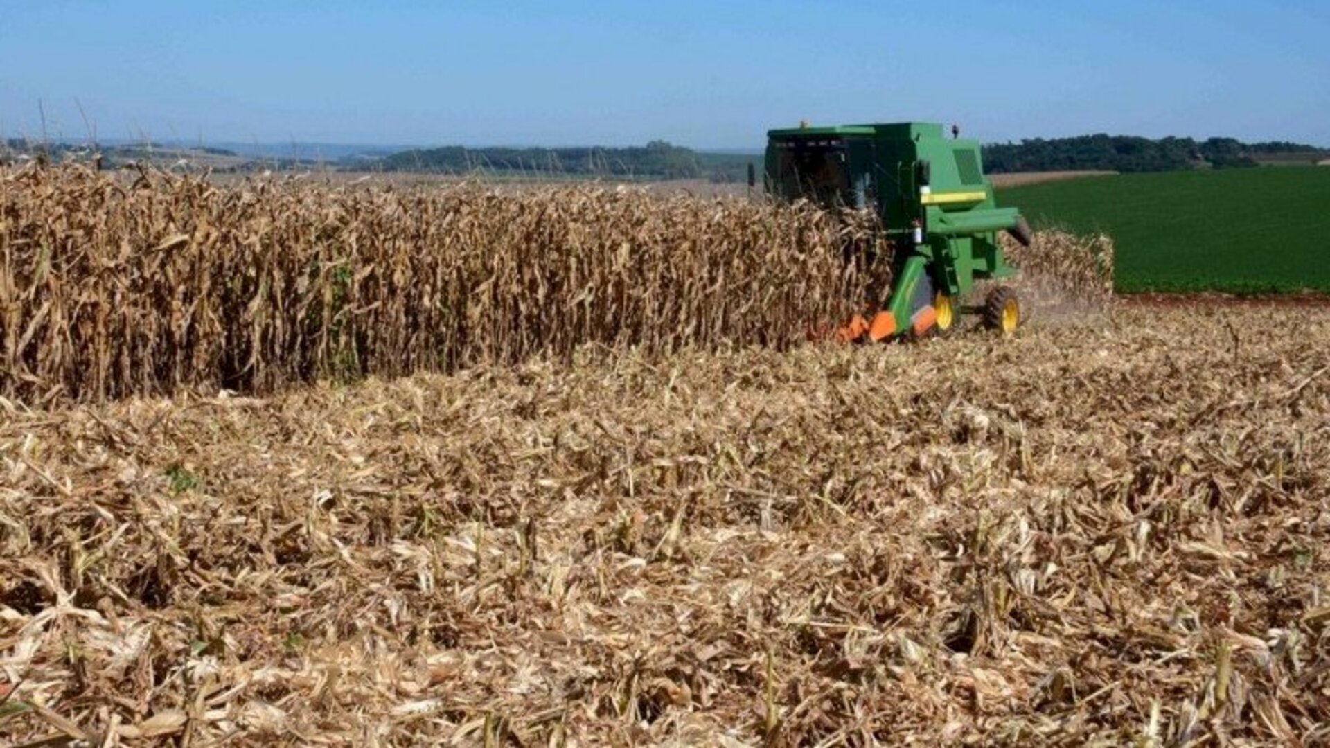 Em torno de 34% do grão já está colhido