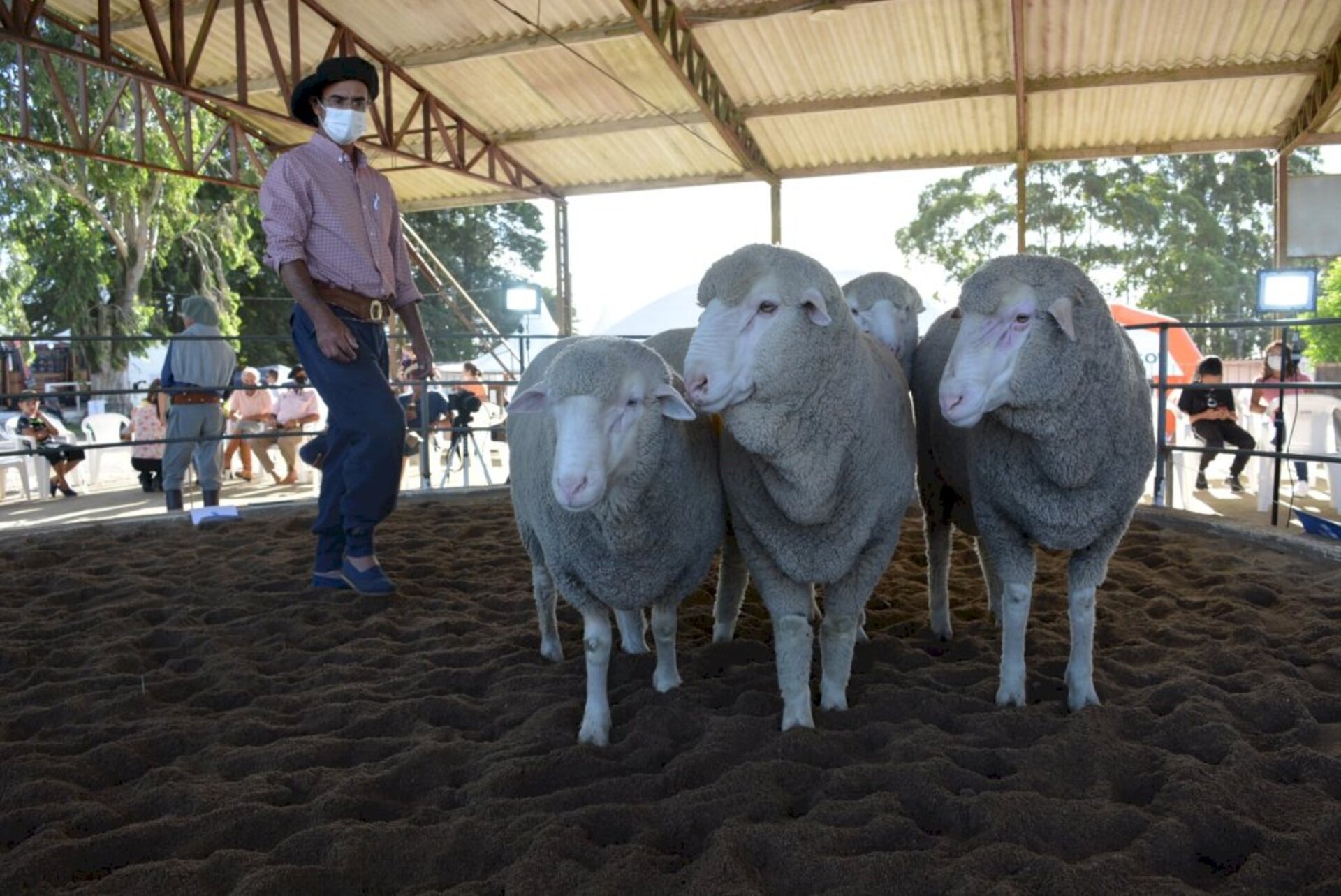 Melhor do que é produzido nas cabanhas estiveram em exposição