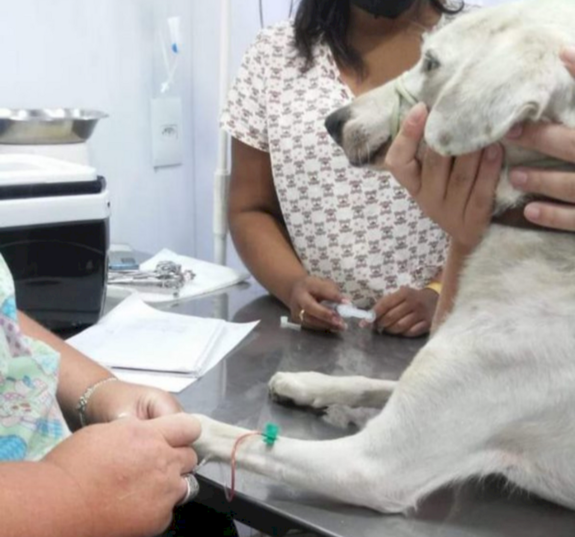 Só em janeiro foram 71 atendimentos gratuitos