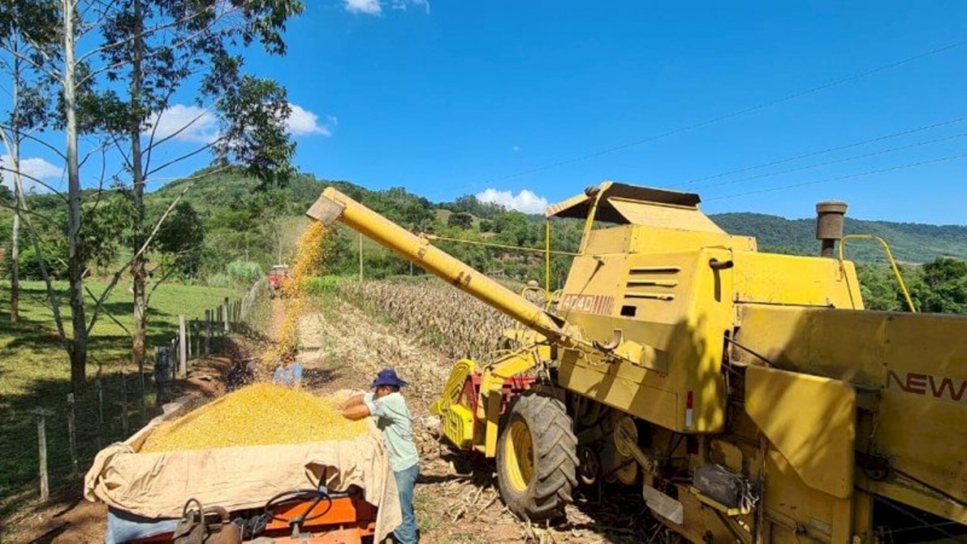 Reposição parcial de umidade nos solos beneficiou as lavouras