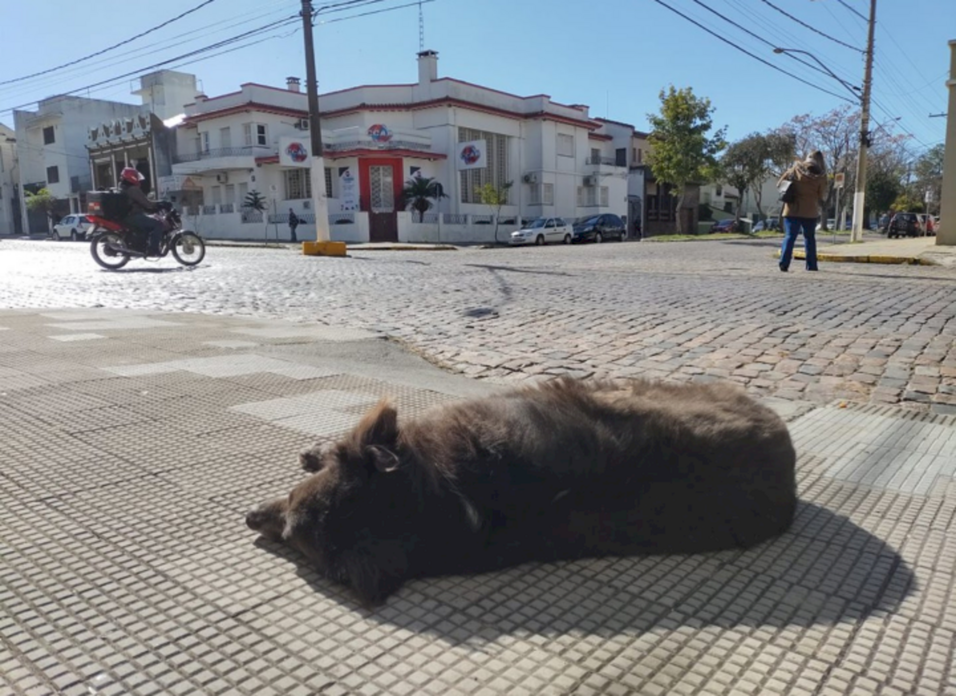 "Tristeza? é uma das principais doenças consequentes