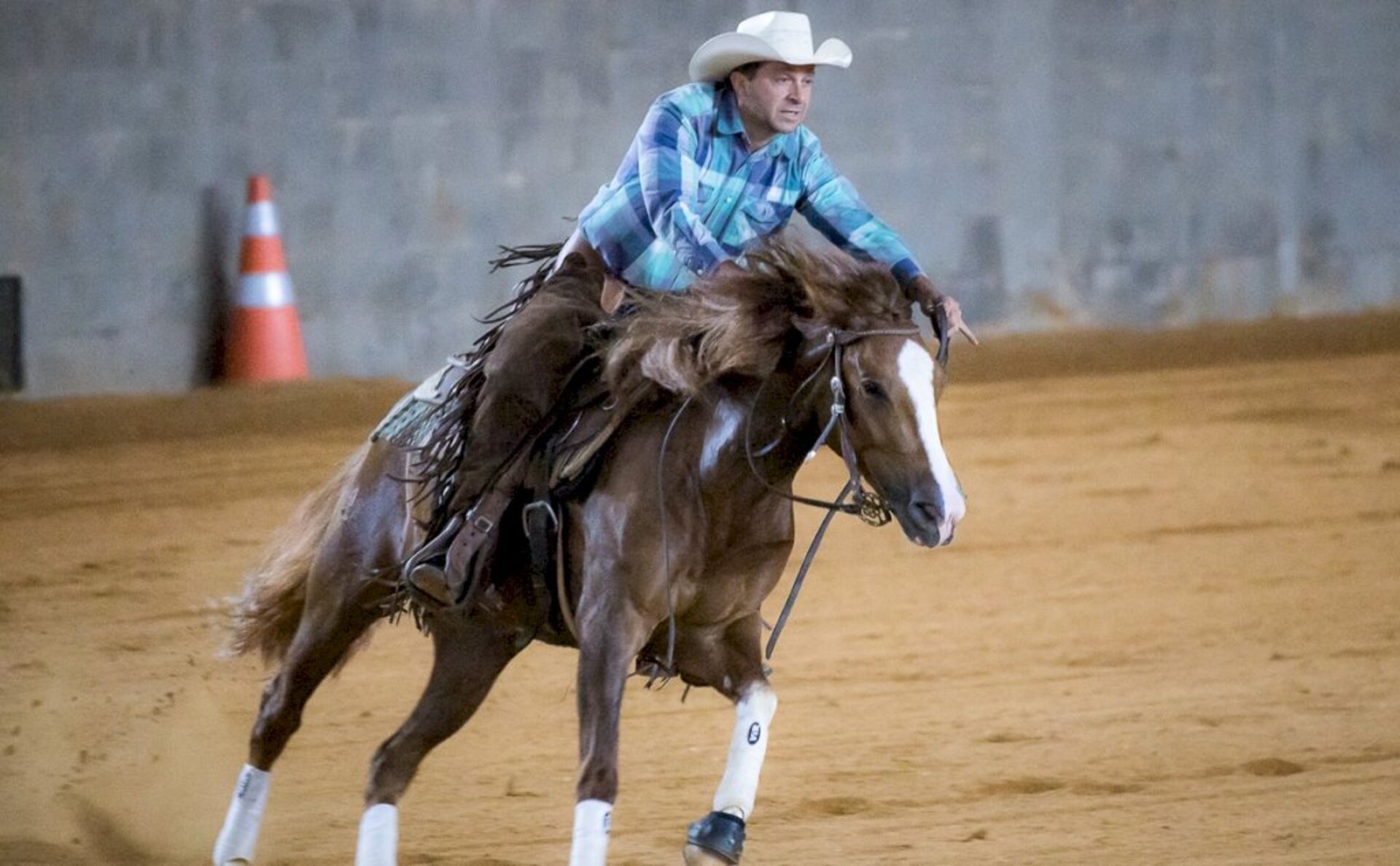 O Derby é destinado para animais de quatro a seis anos hípicos