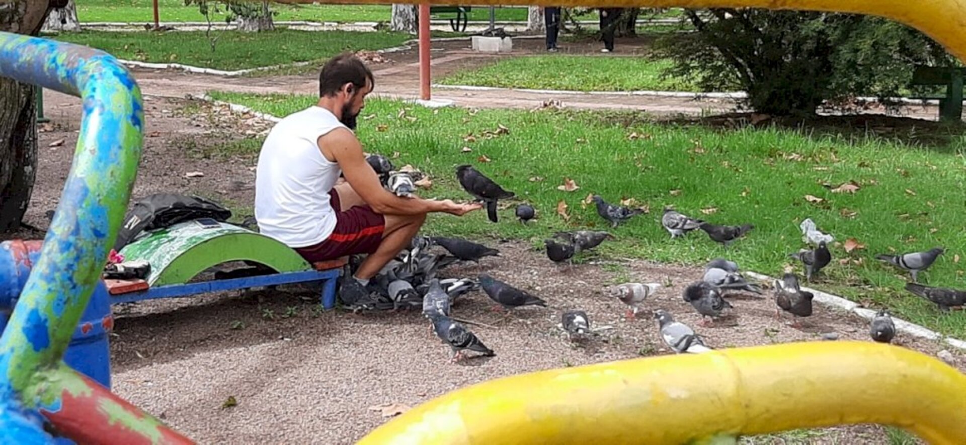 Imagem lembra a reverência de São Francisco de Assis com os animais