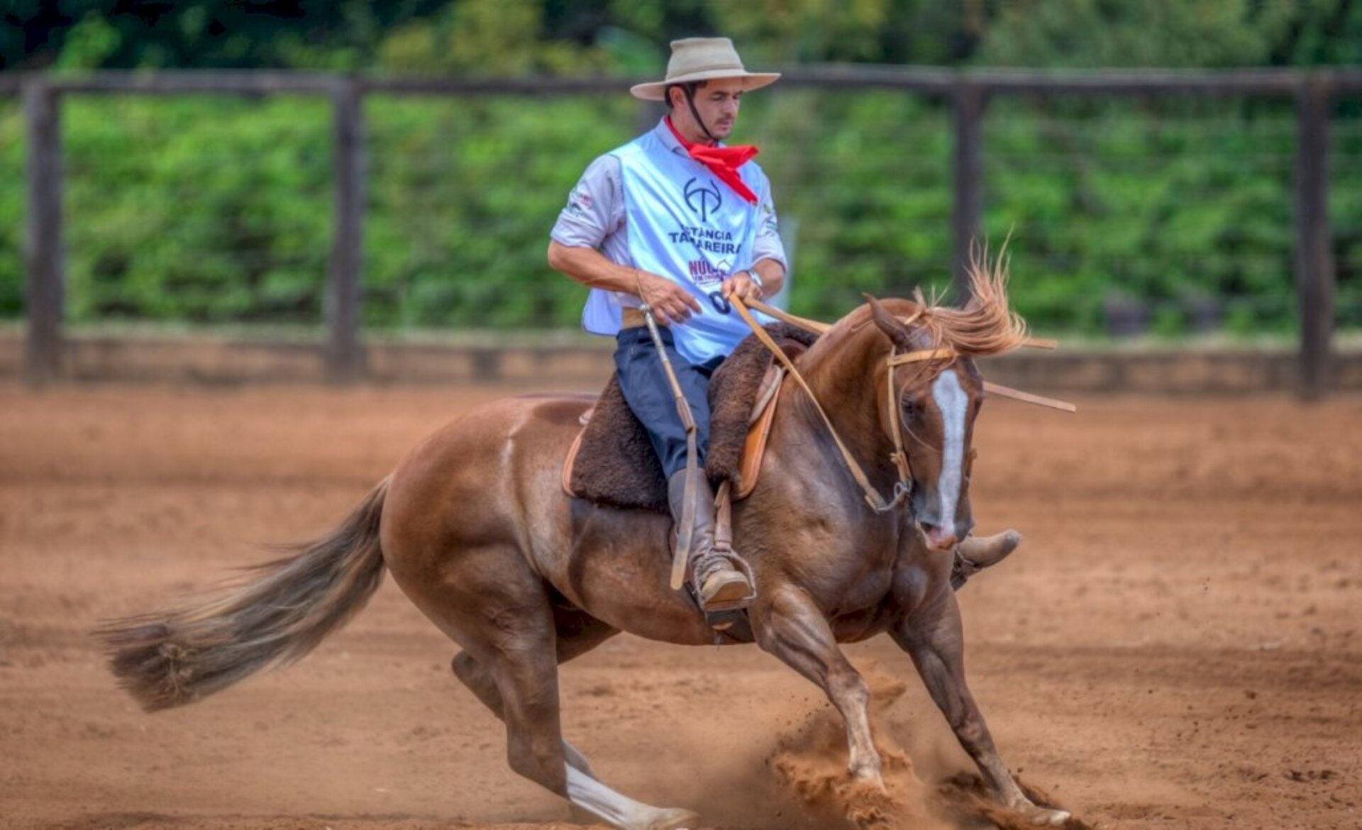 Provas do Cavalo Crioulo movimentaram sete municípios