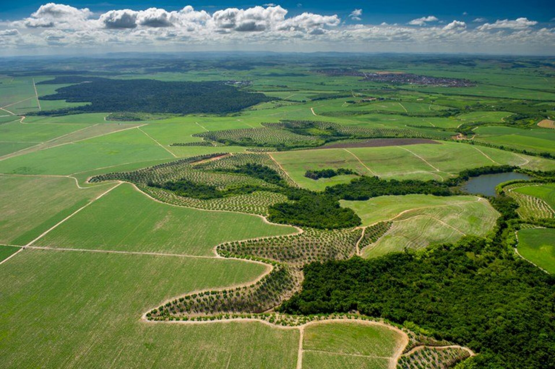 Objetivo do RegularizAgro é desenvolver um plano de ação para todos os biomas