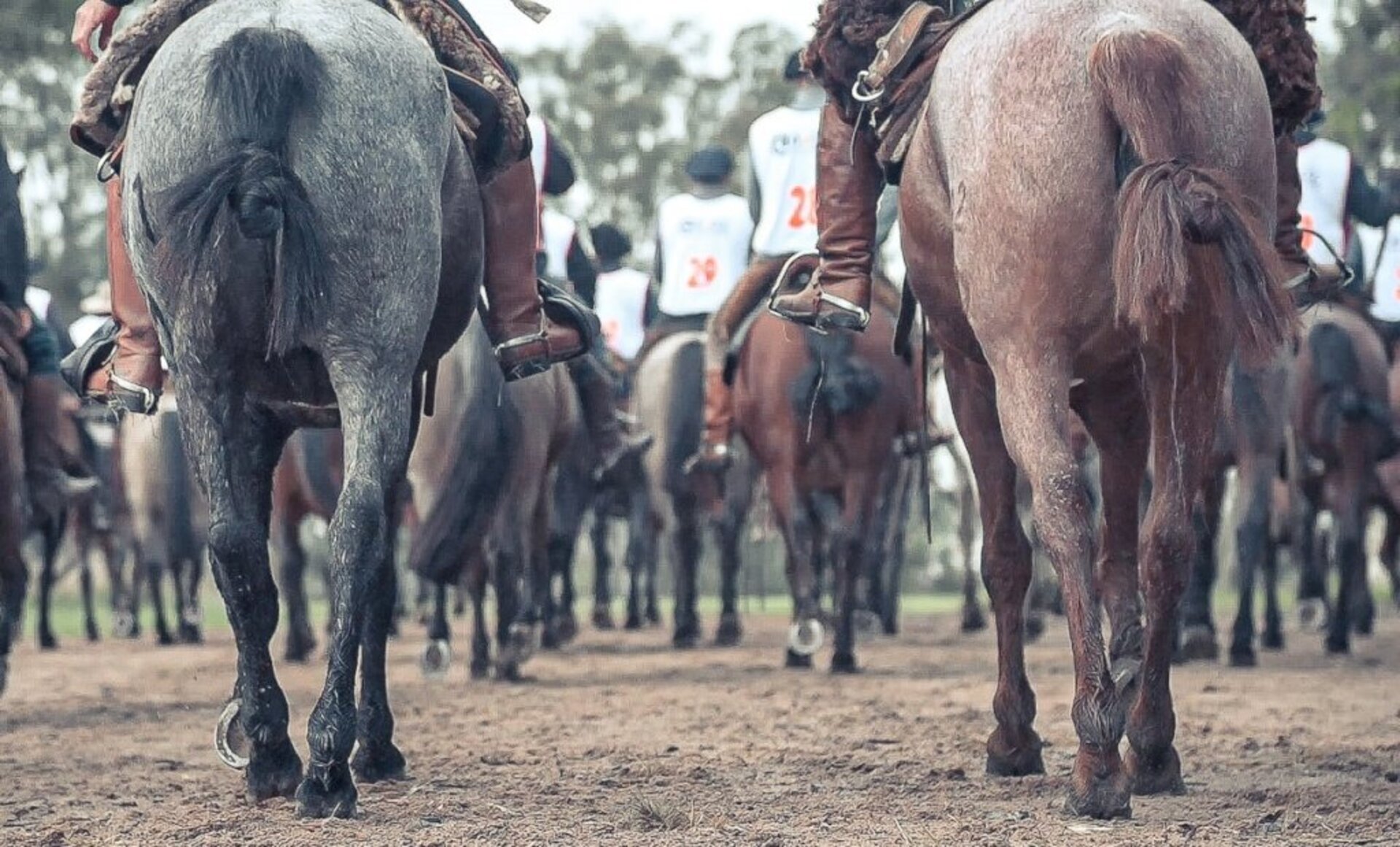 Participantes irão percorrer 750 quilômetros