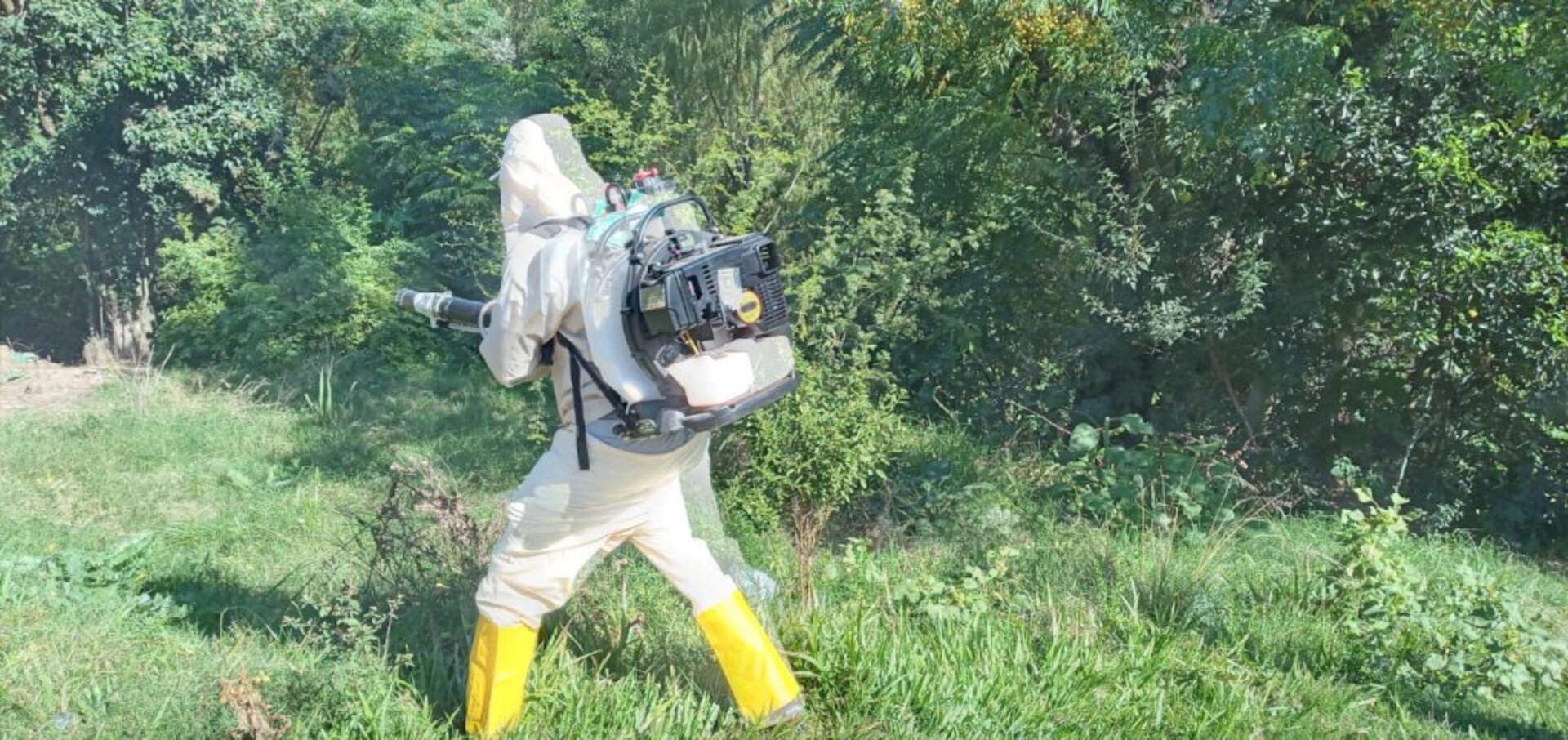 Trabalho preventivo foi feito com aplicação do fumacê