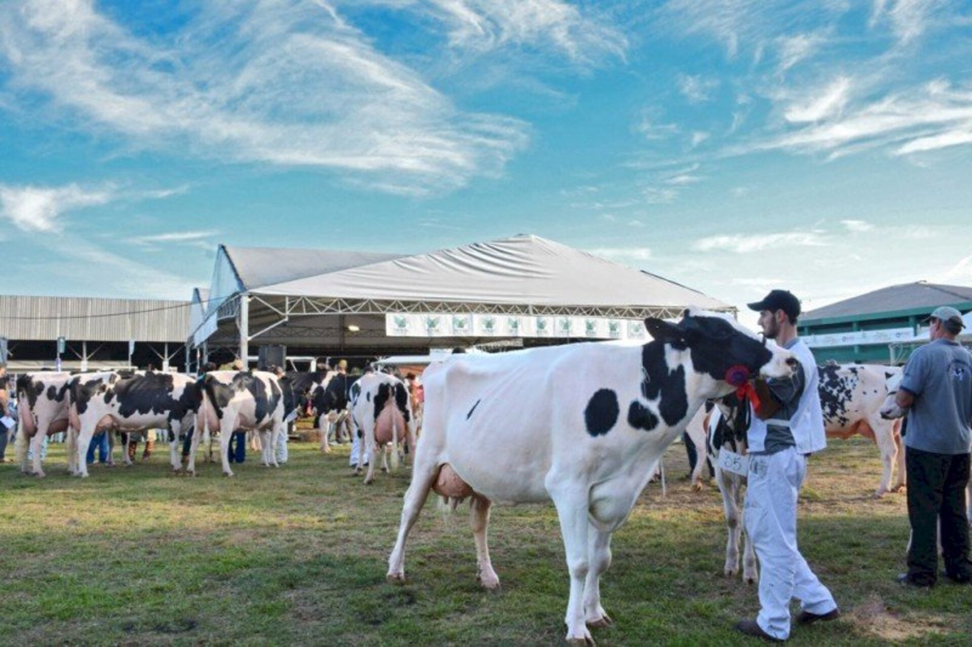Evento acontece no Parque Assis Brasil