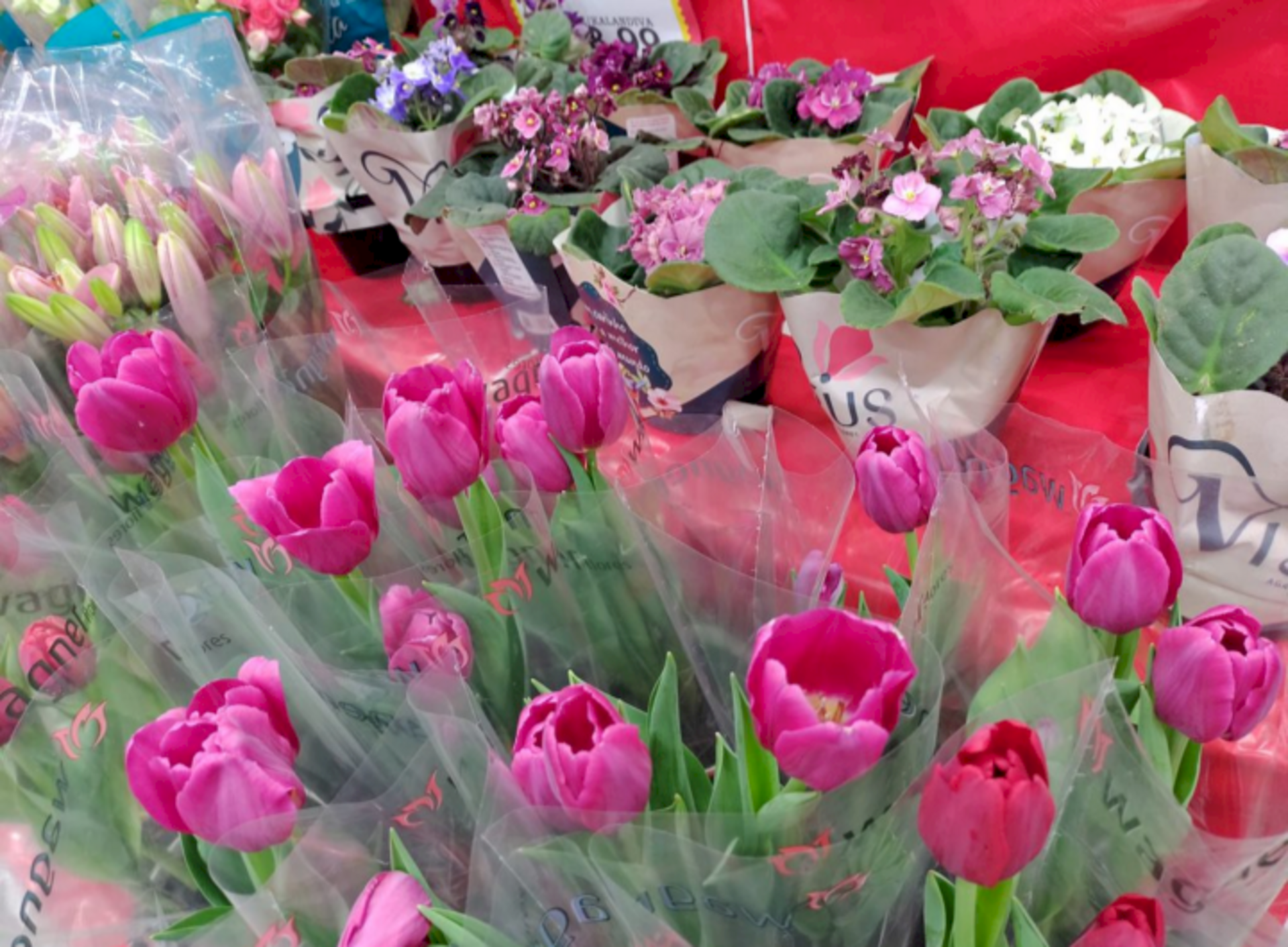Trata-se de uma das melhores datas para as floriculturas