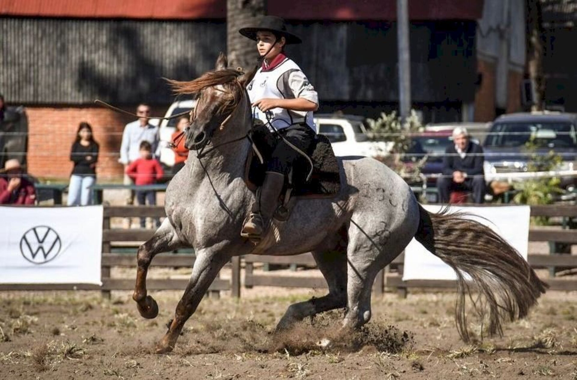 Francisco Cachapuz Móglia com Jatobá Cala Bassa