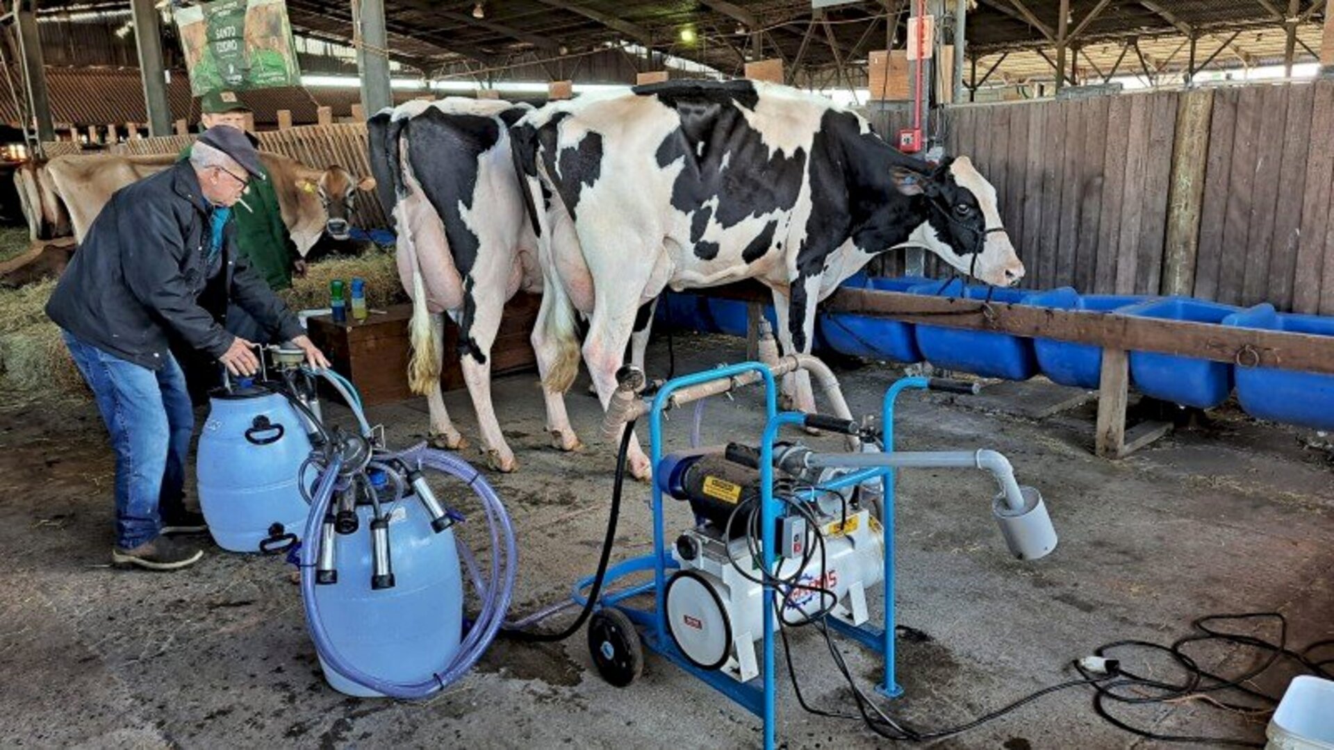 Criadores começaram a instalar seus animais, no Parque Assis Brasil, na manhã de ontem