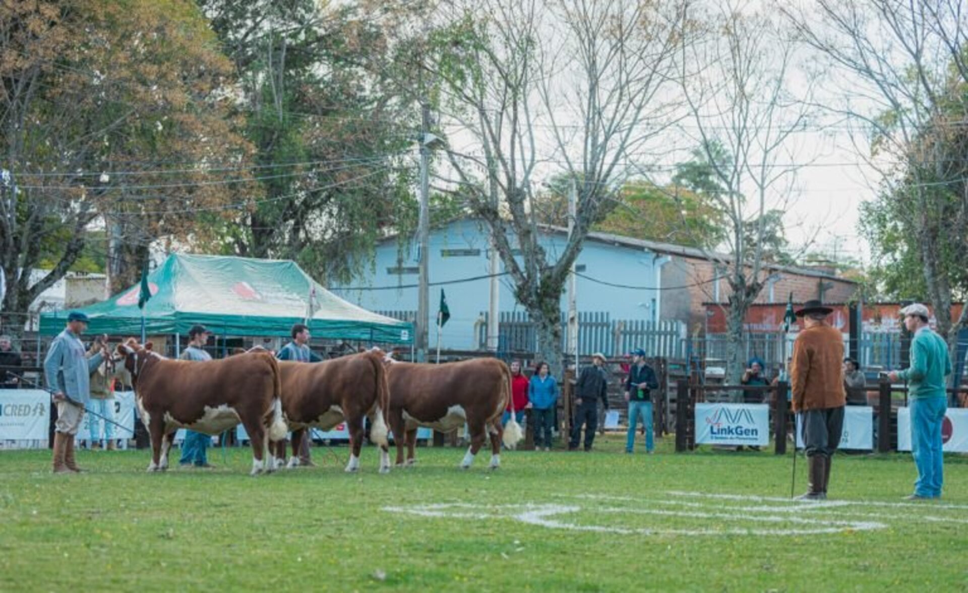 Qualidade dos animais foi evidenciada na pista