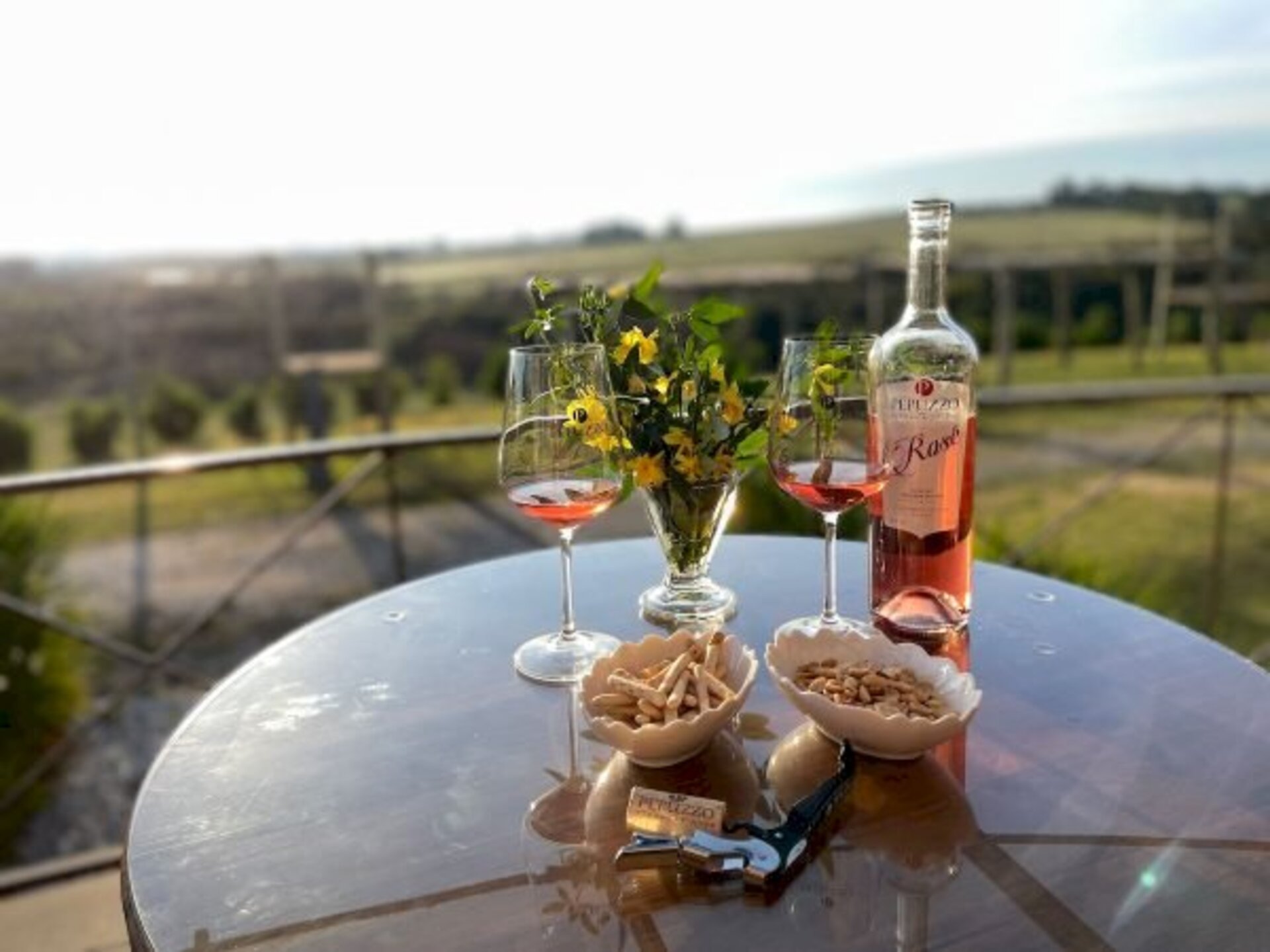 Vinho será a estrela da festa